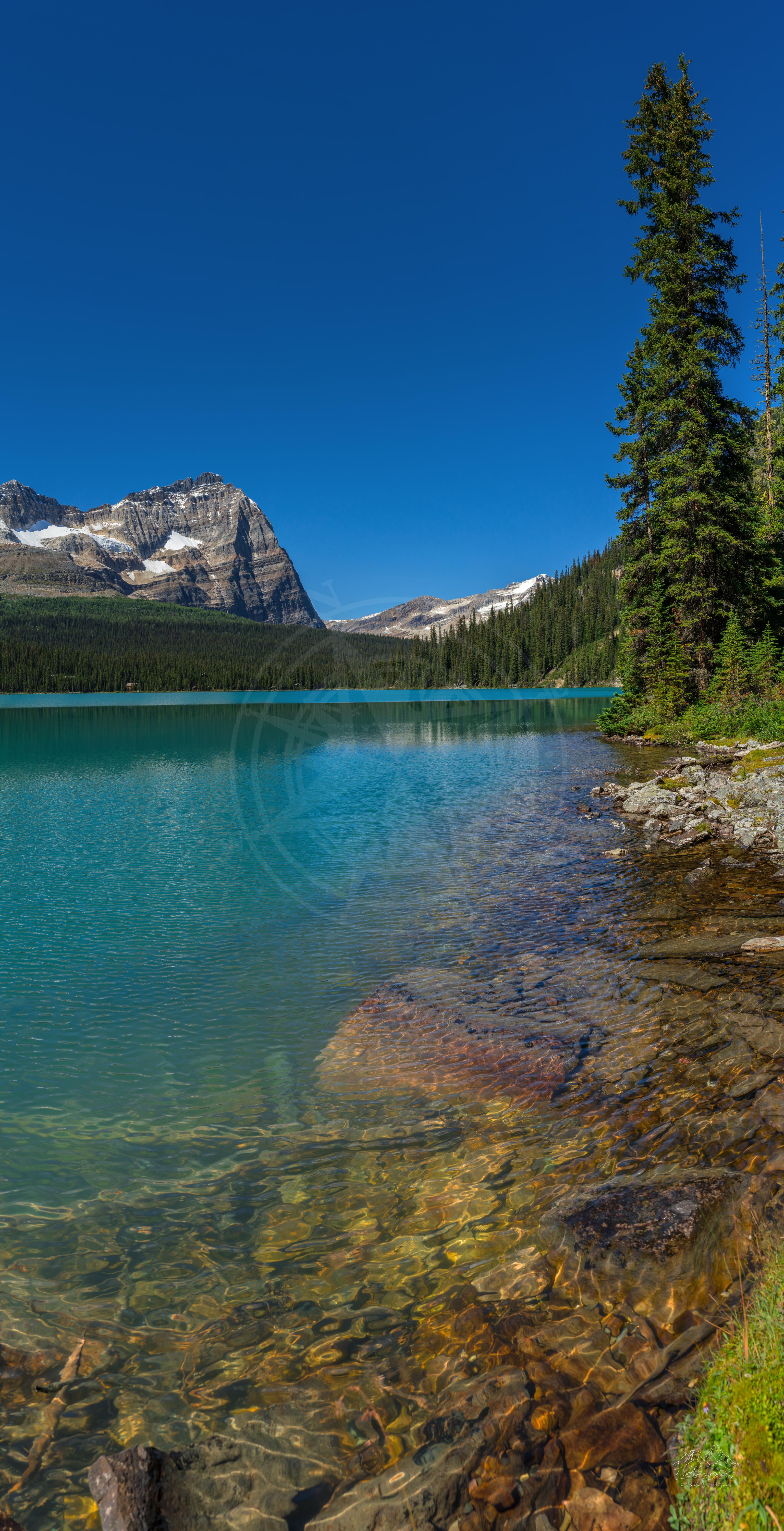 Panoramic Summer View of Lake O'Hara Circuit Trail in British Columbia