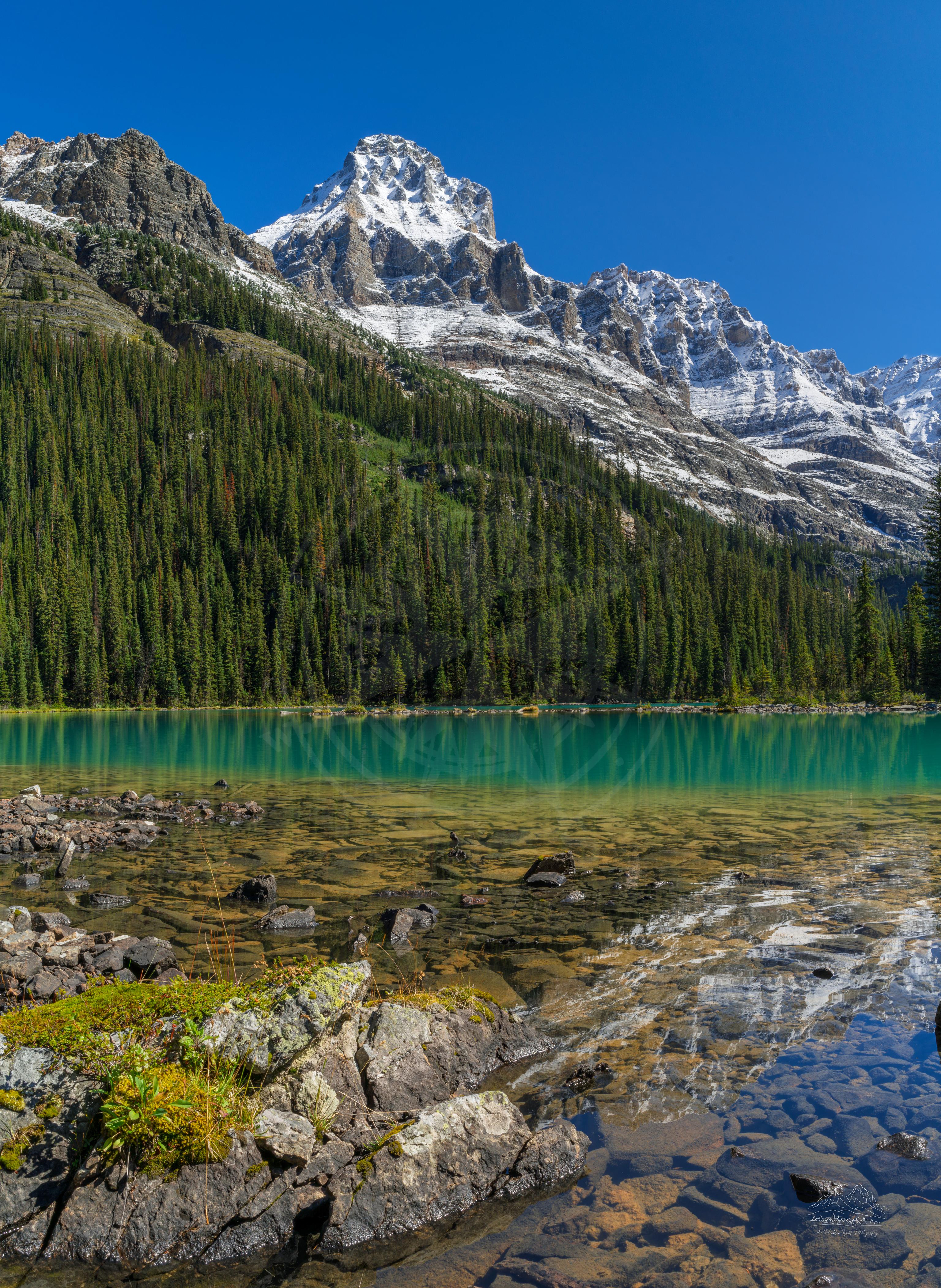 Panoramic Summer View of Lake O'Hara from Circuit Trail, British Columbia