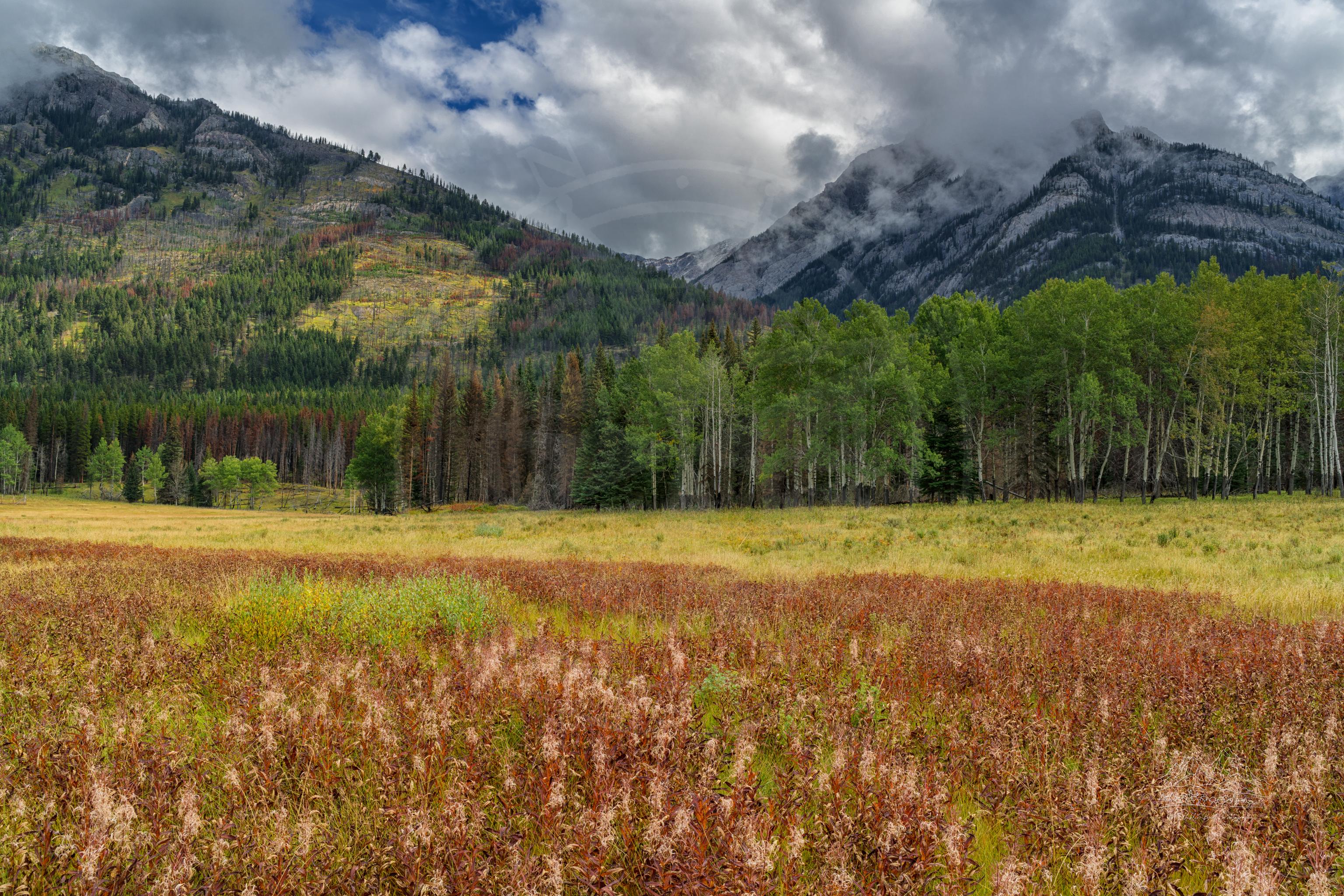 Autumn panoramic meadow landscape in Banff Alberta Canada