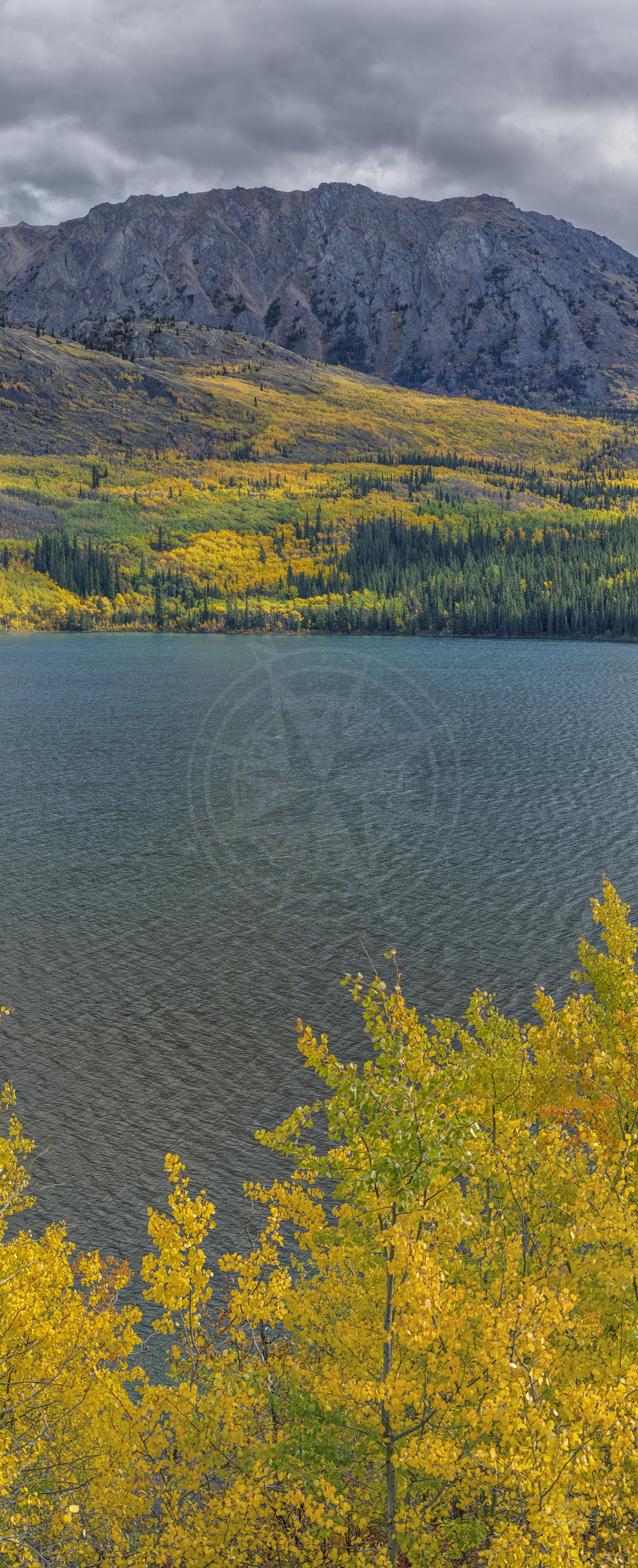 Autumn Panoramic Landscape of Lake Bennett and Mountains on Klondike Highway