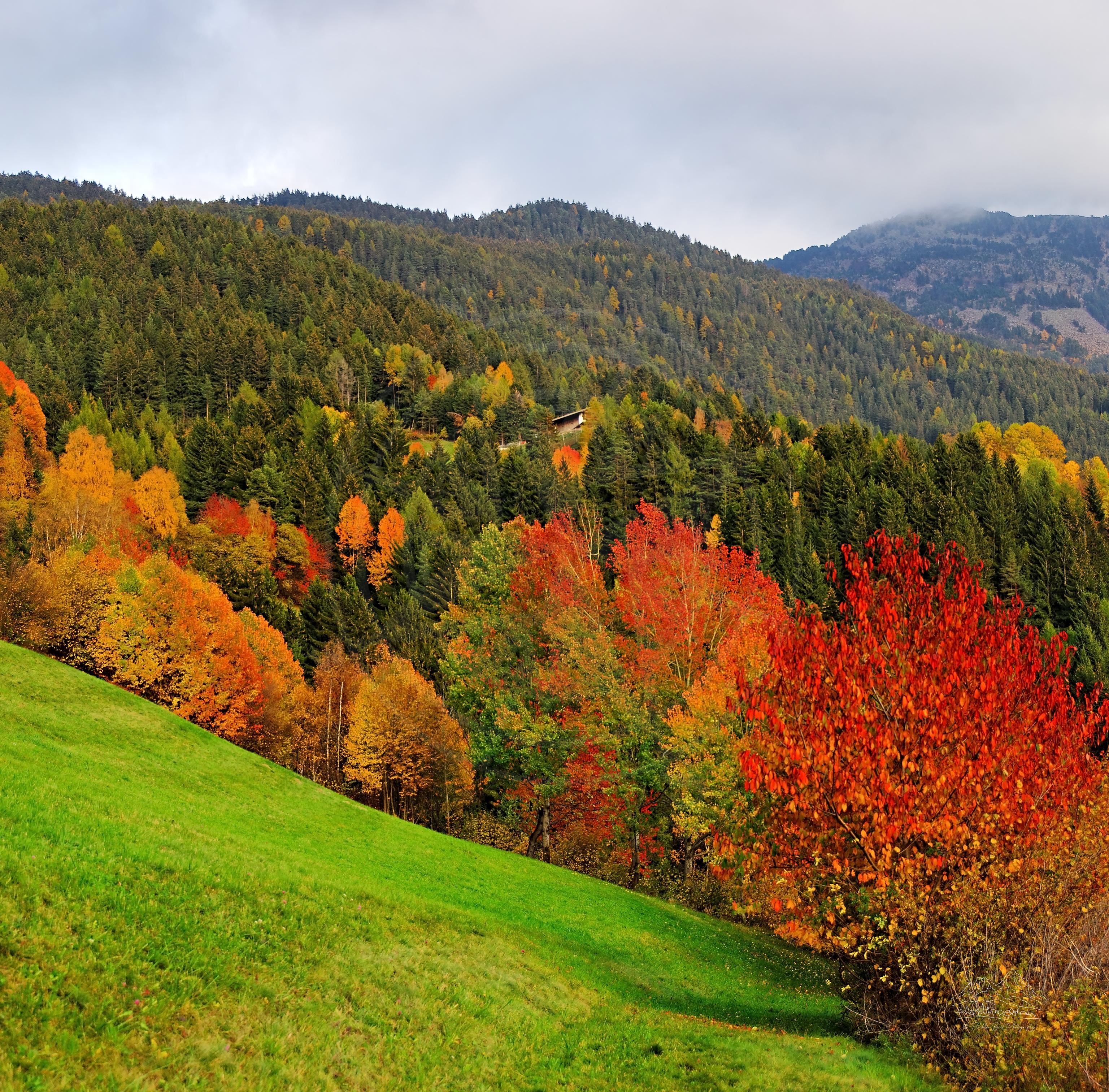 Panorama im Herbst bei St. Peter San Pietro, Südtirol
