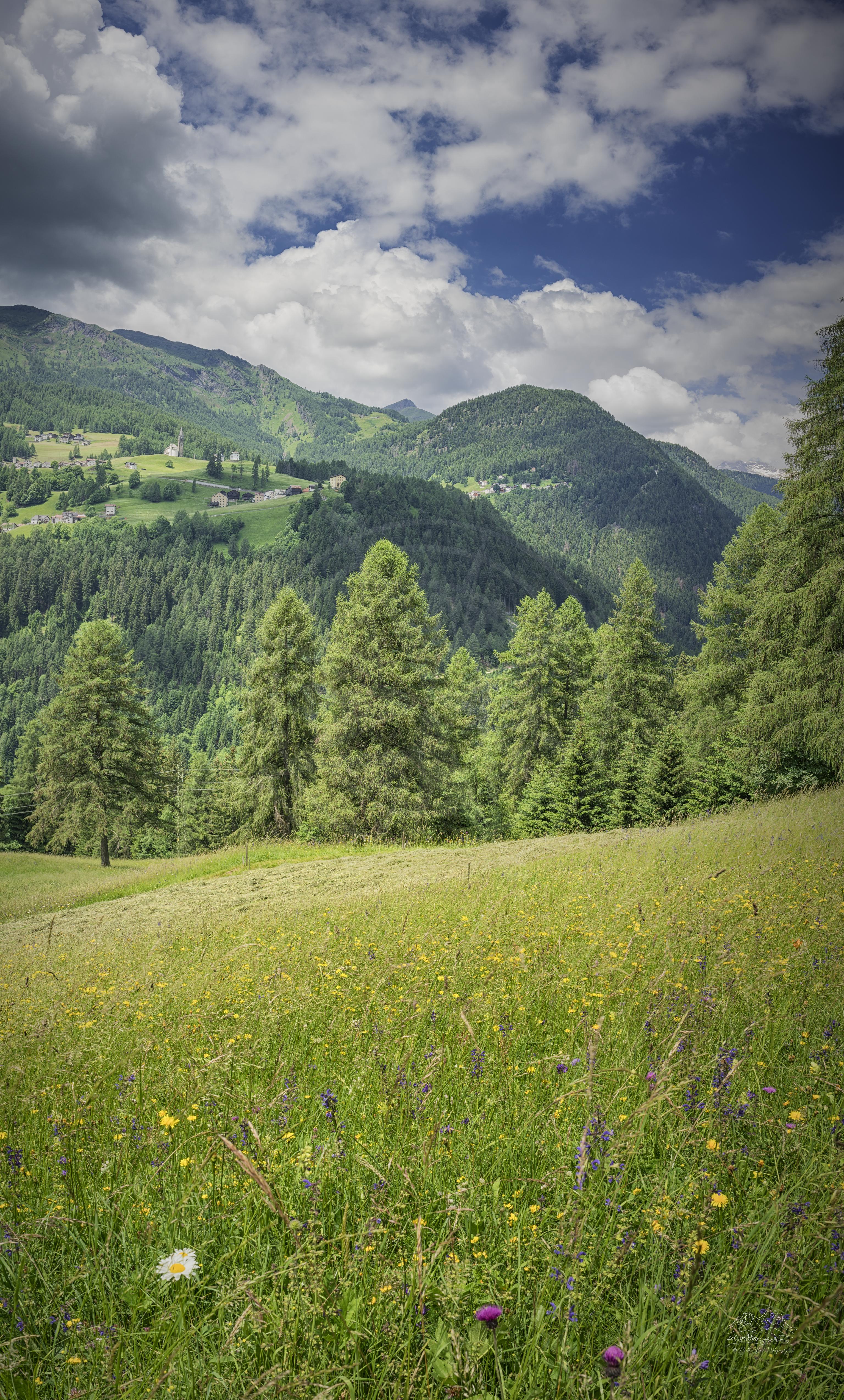 Sommerliche Panorama-Wiese in den Dolomiten bei Colle Santa Lucia, Italien
