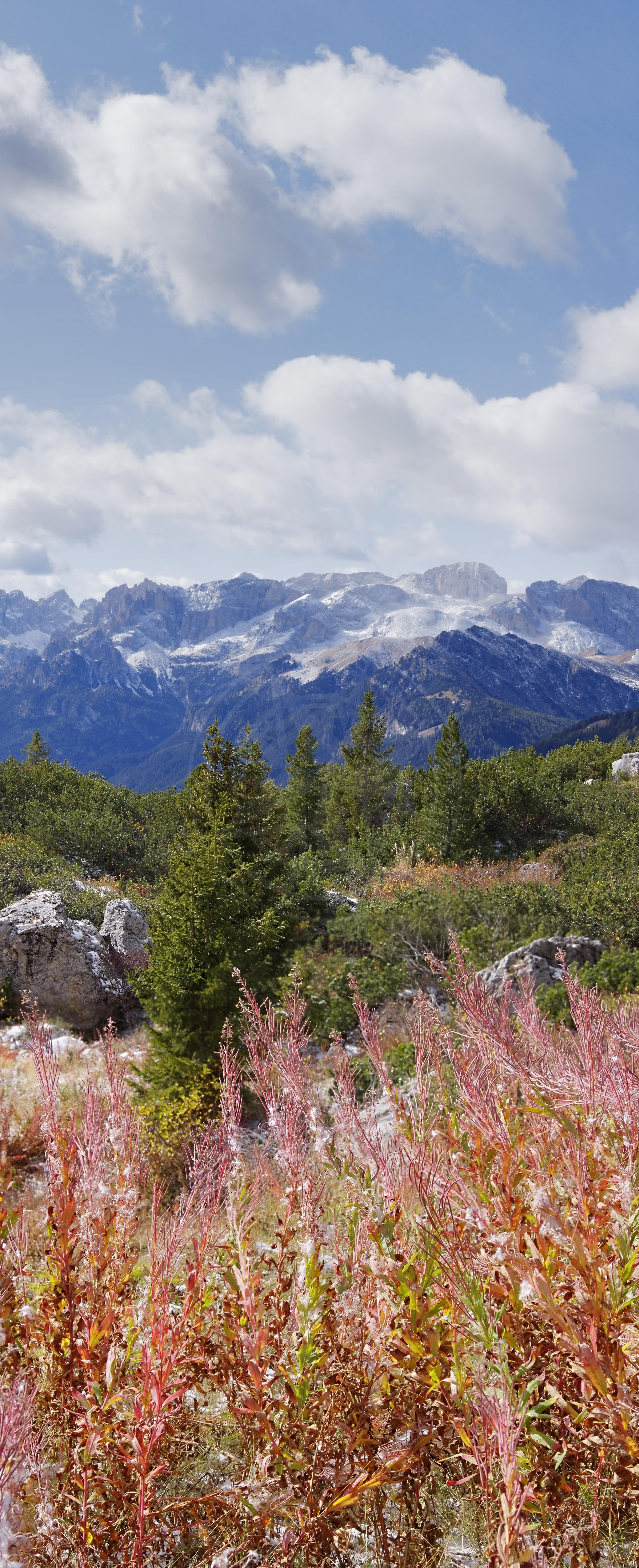 Herbst Panorama der Berge am Pordoijoch bei Canazei, Italien