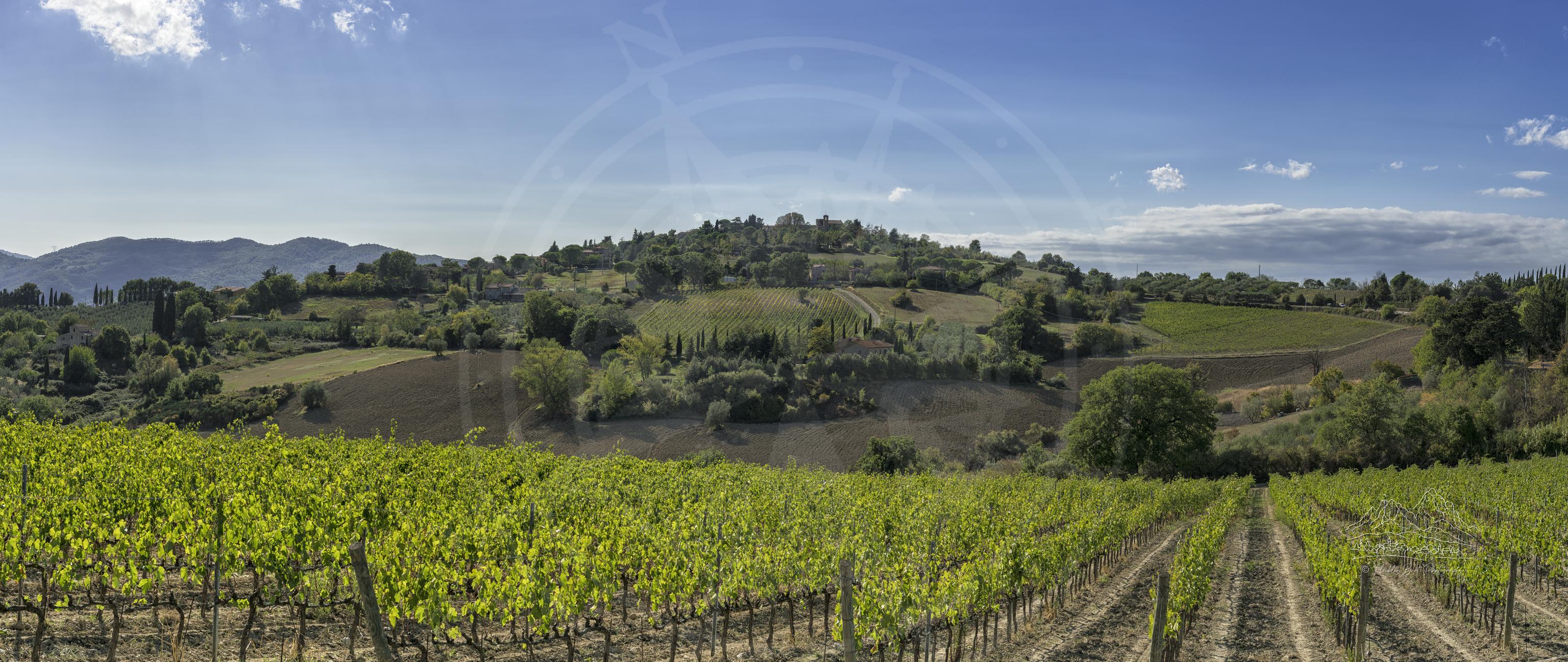 Herbstpanorama eines Weinberghügels in Monteguidi, Toskana