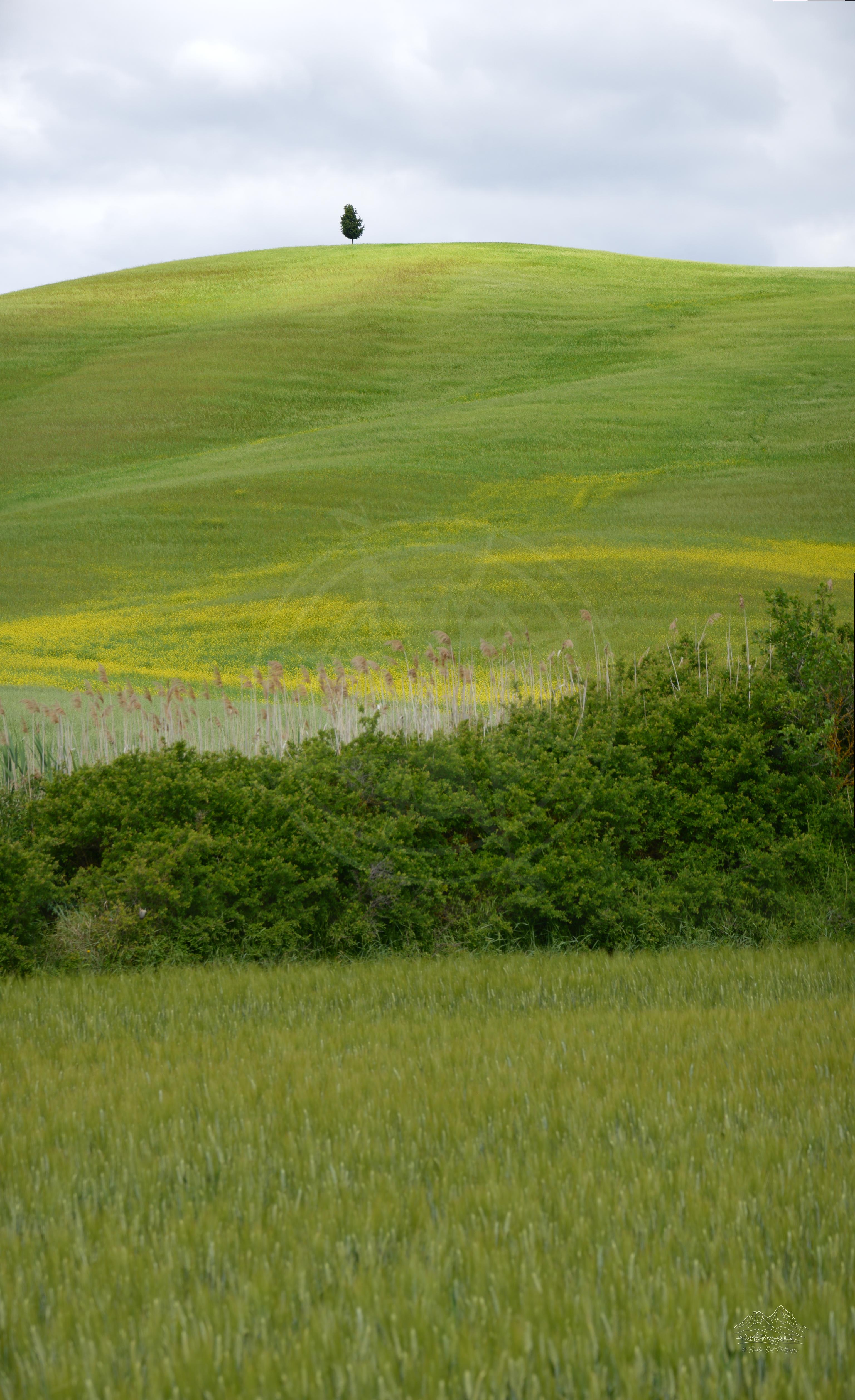 Panorama primaverile delle colline di Castiglione d'Orcia in Toscana
