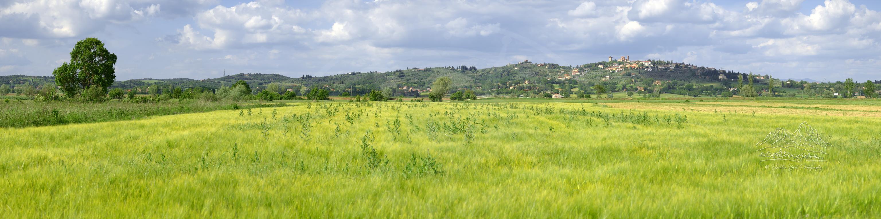 Paesaggio Panoramico Primaverile di Campagna vicino a Lucignano Toscana Italia