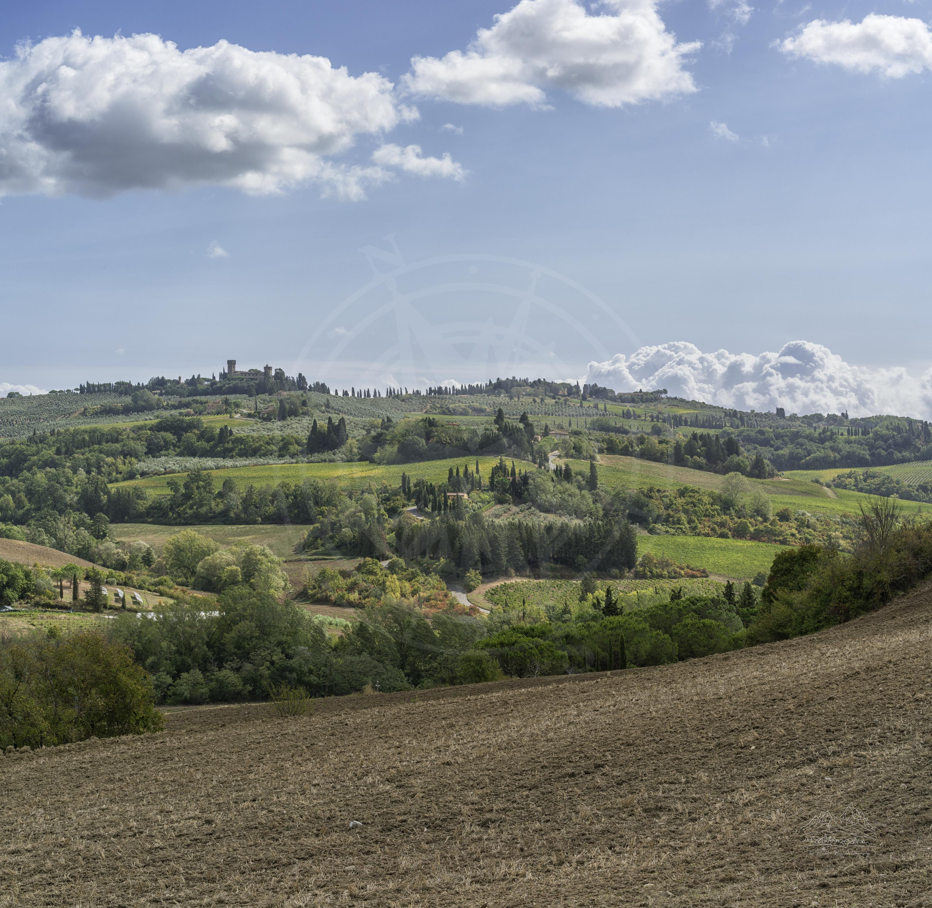 Panoramablick auf den Monte del Ponte Weinberghügel im Herbst in der Toskana