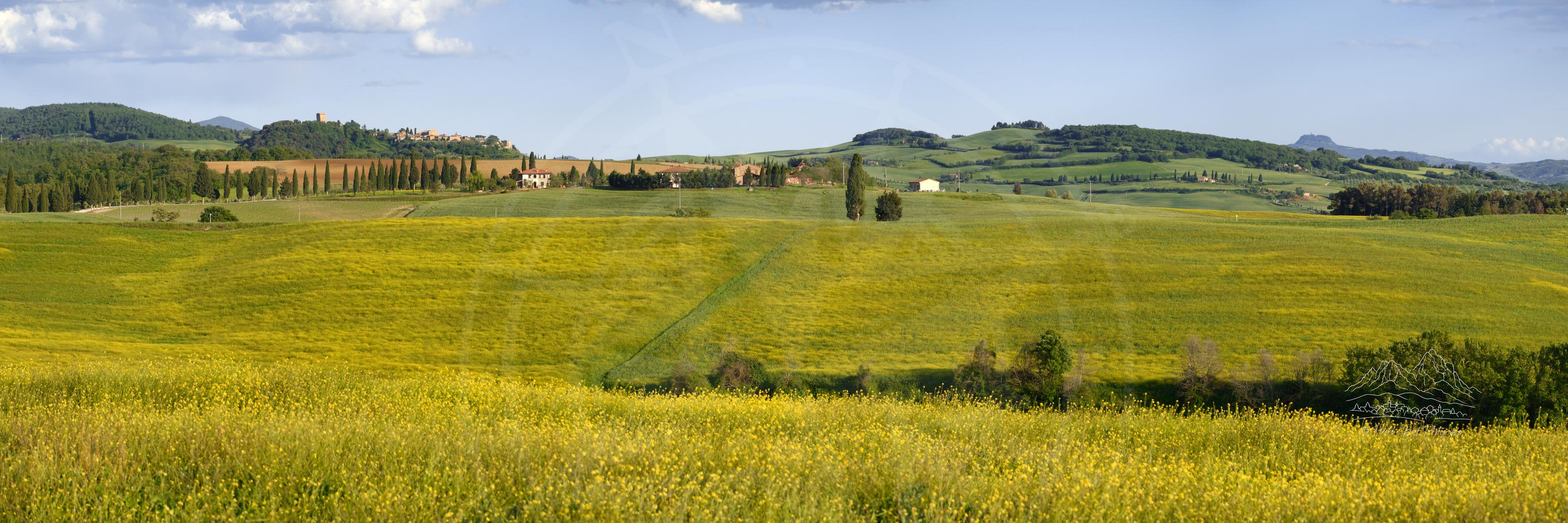 Paesaggio panoramico primaverile della collina Podere Albergo a Pienza Toscana