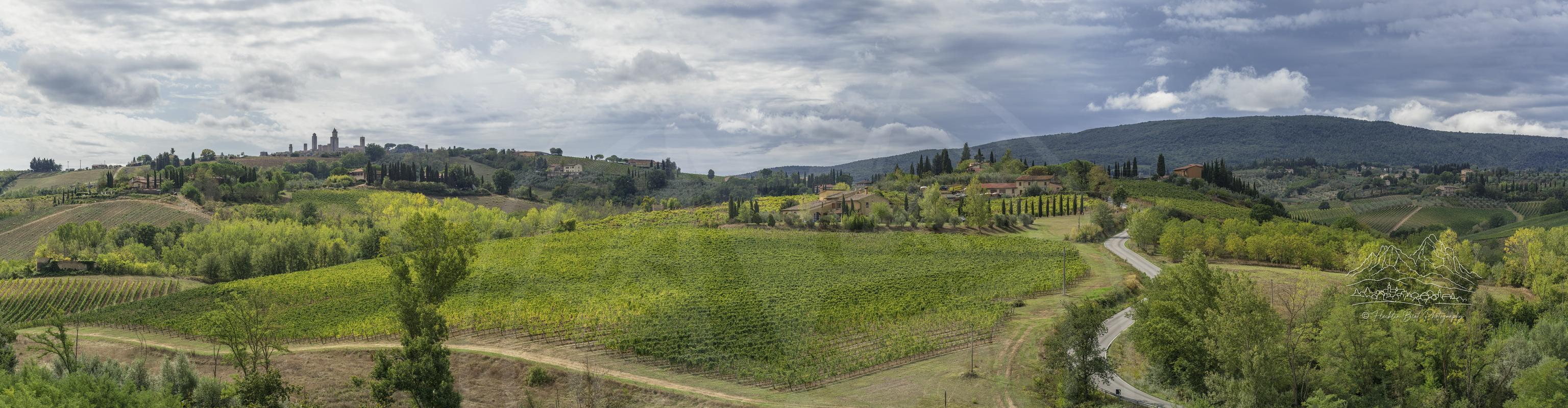 Panoramablick auf herbstlichen Weinberg von Via del Mattone in San Gimignano Toskana