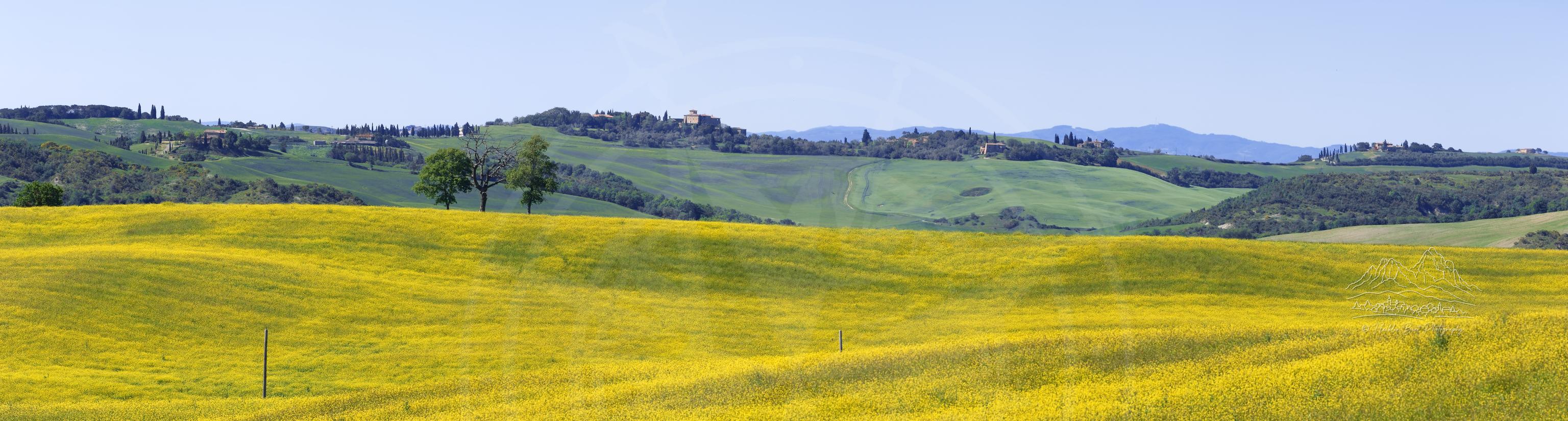 Frühlingspanorama von Ackerland auf dem Hügel bei San Quirico d'Orcia, Toskana