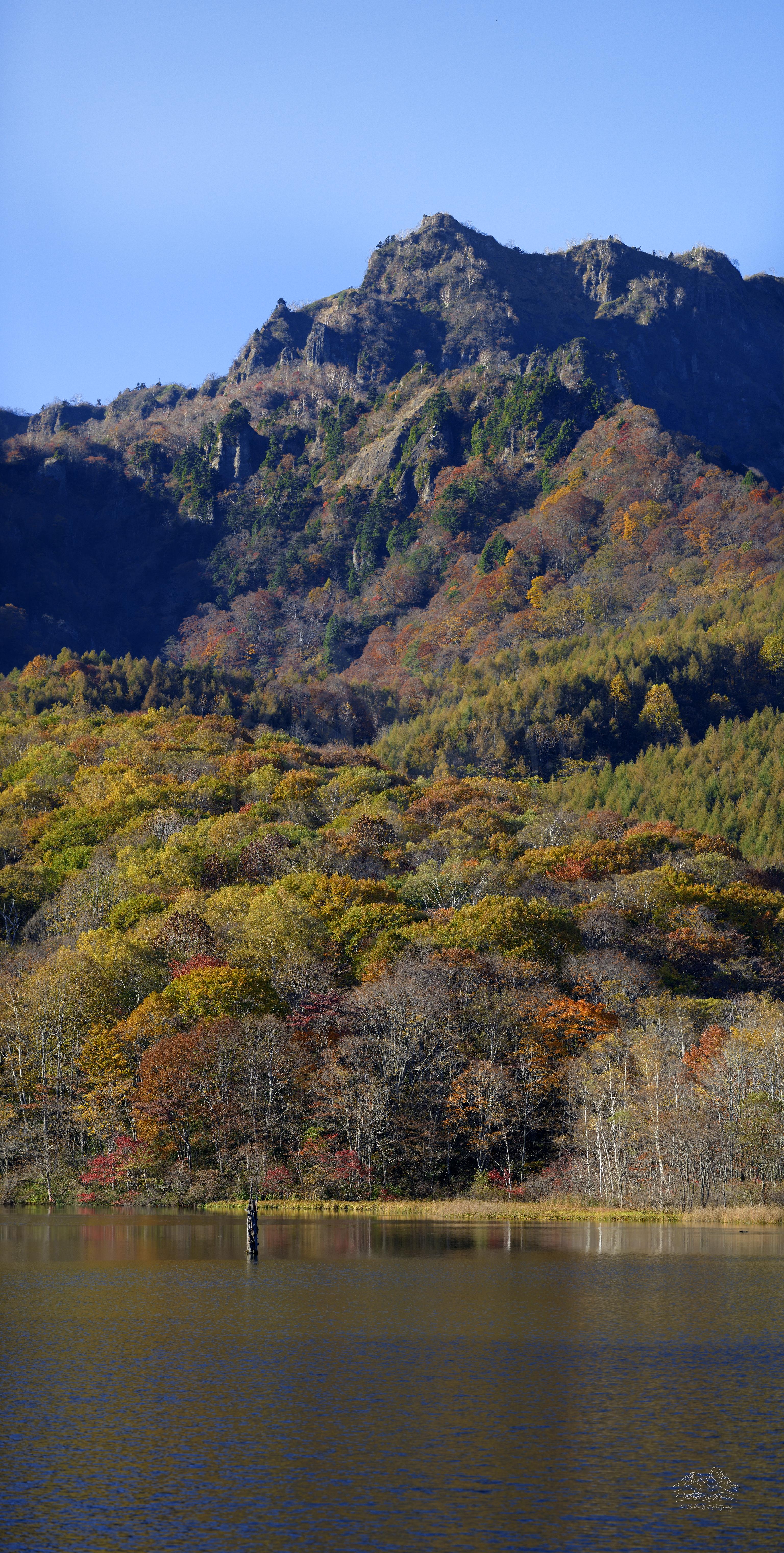 Herbst-Panorama des Kagamiike-Teich-Tals in Nagano, Japan