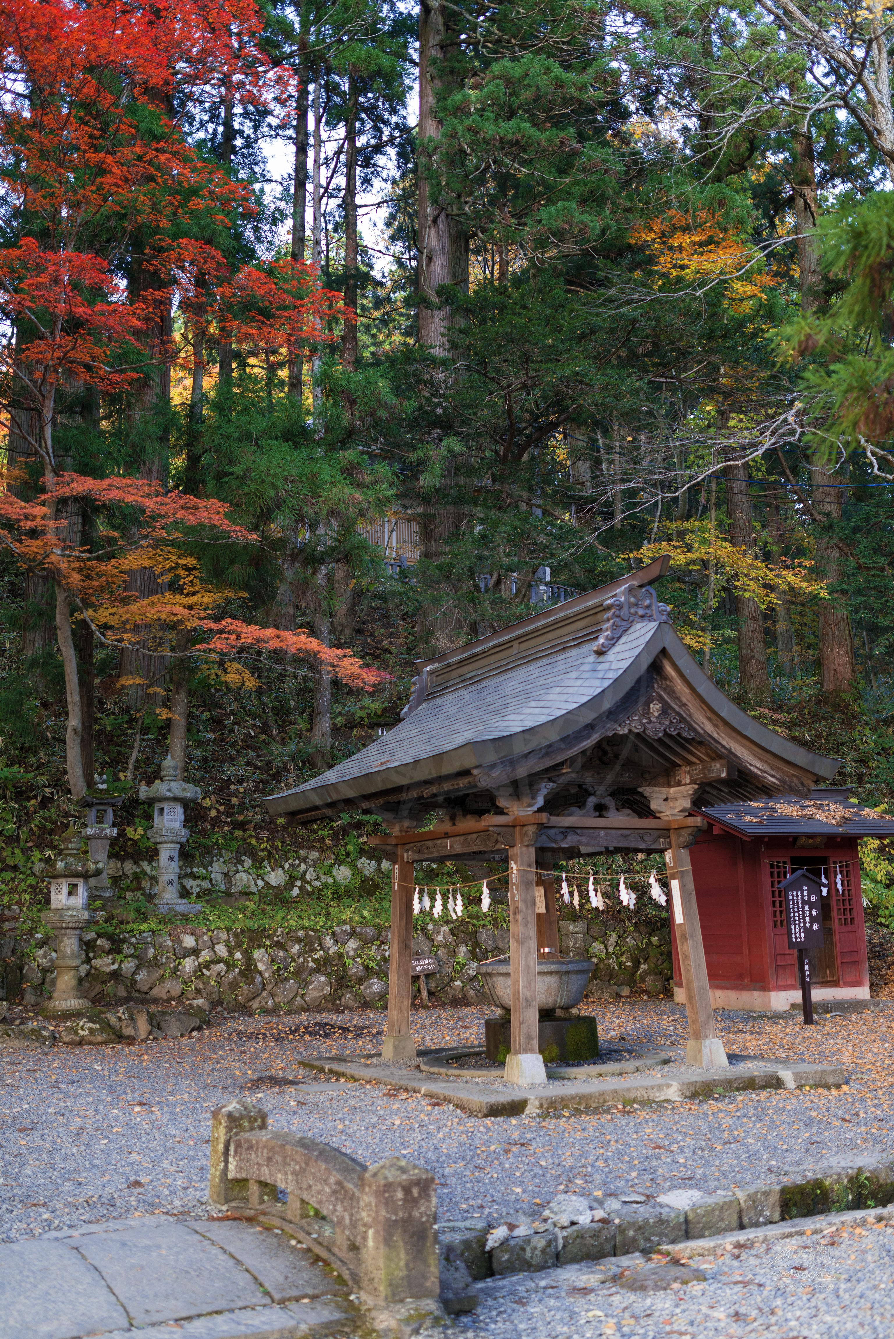 Herbstpanorama eines kleinen Tempels im japanischen Waldpark