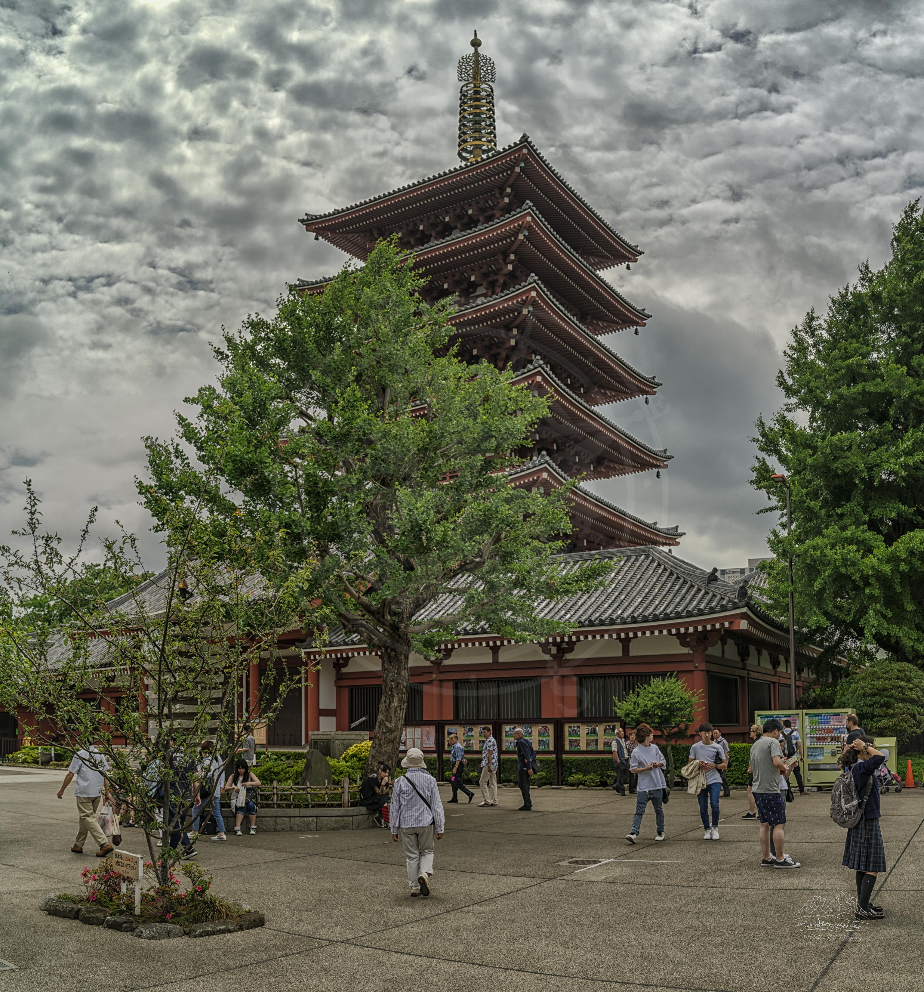 Frühlings-Panorama des buddhistischen Tempelturms in Asakusa, Tokio