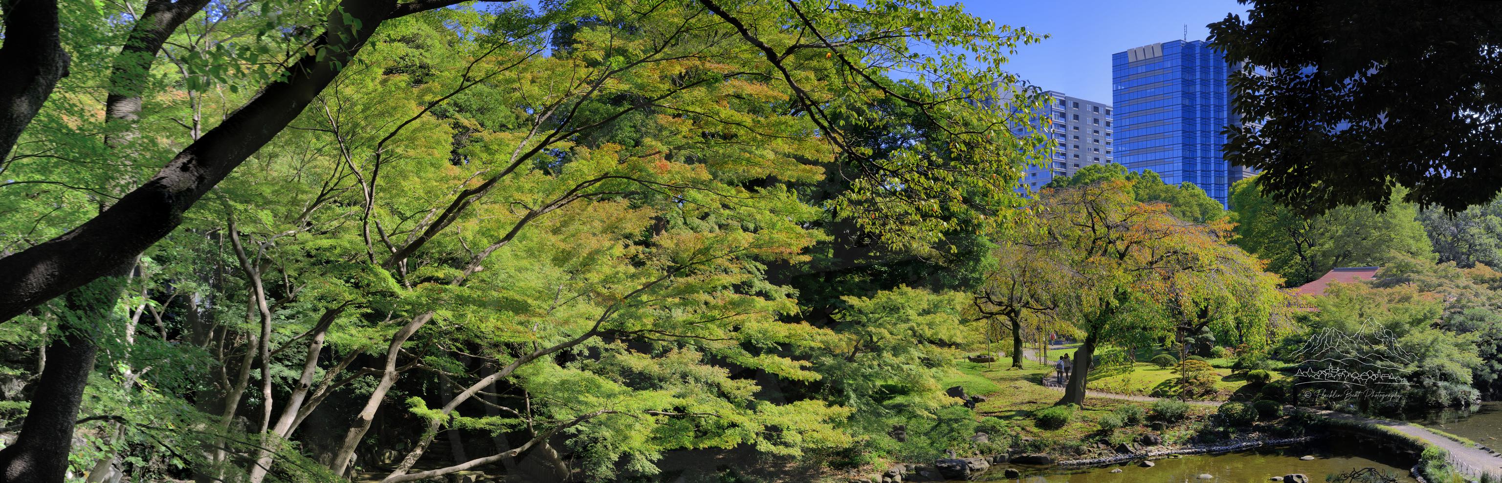 Panoramischer Herbstwaldweg im Korakuen-Park Tokio