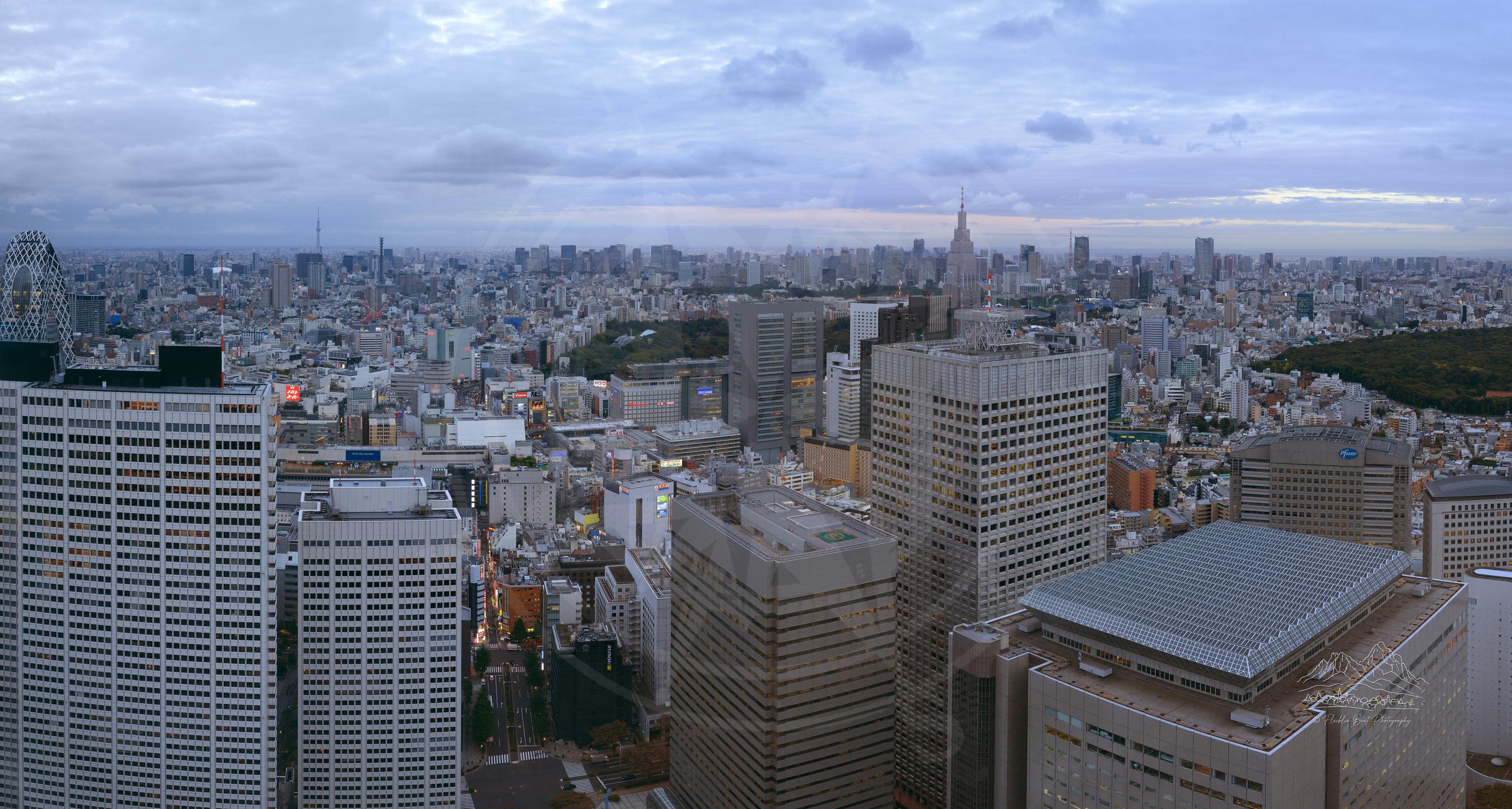 Herbst-Panorama der Skyline von Shinjuku, Tokio vom Tochō-Aussichtspunkt