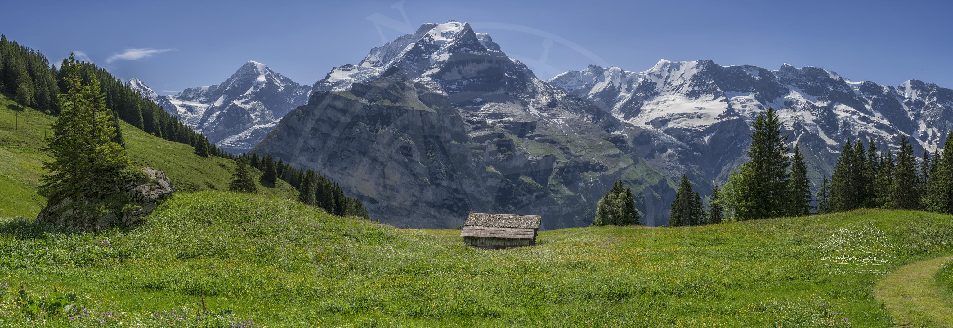Panoramablick im Sommer auf Almendhubel bei Mürren, Bern, Schweiz