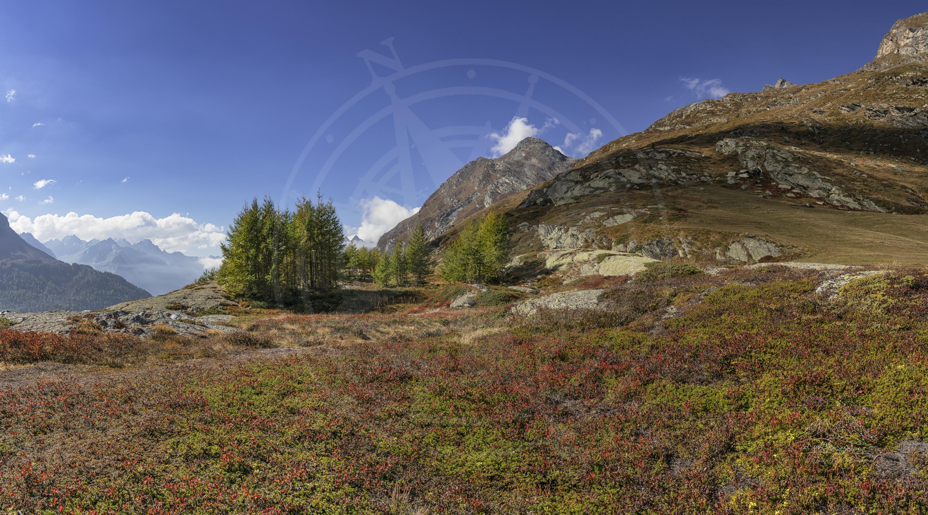 Herbstpanorama der Berglandschaft bei Maloja im Kanton Graubünden, Schweiz