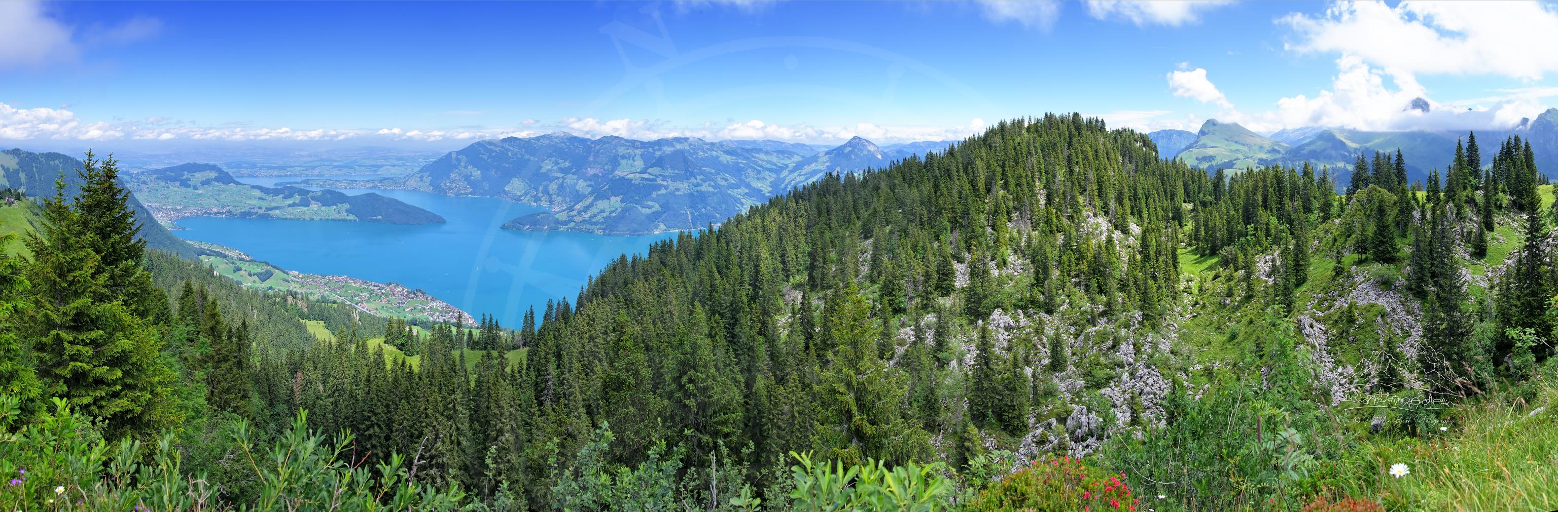 Panorama Estivo dalla Stazione Sciistica Ergglen sul Klewenstock-Rundgang, Svizzera