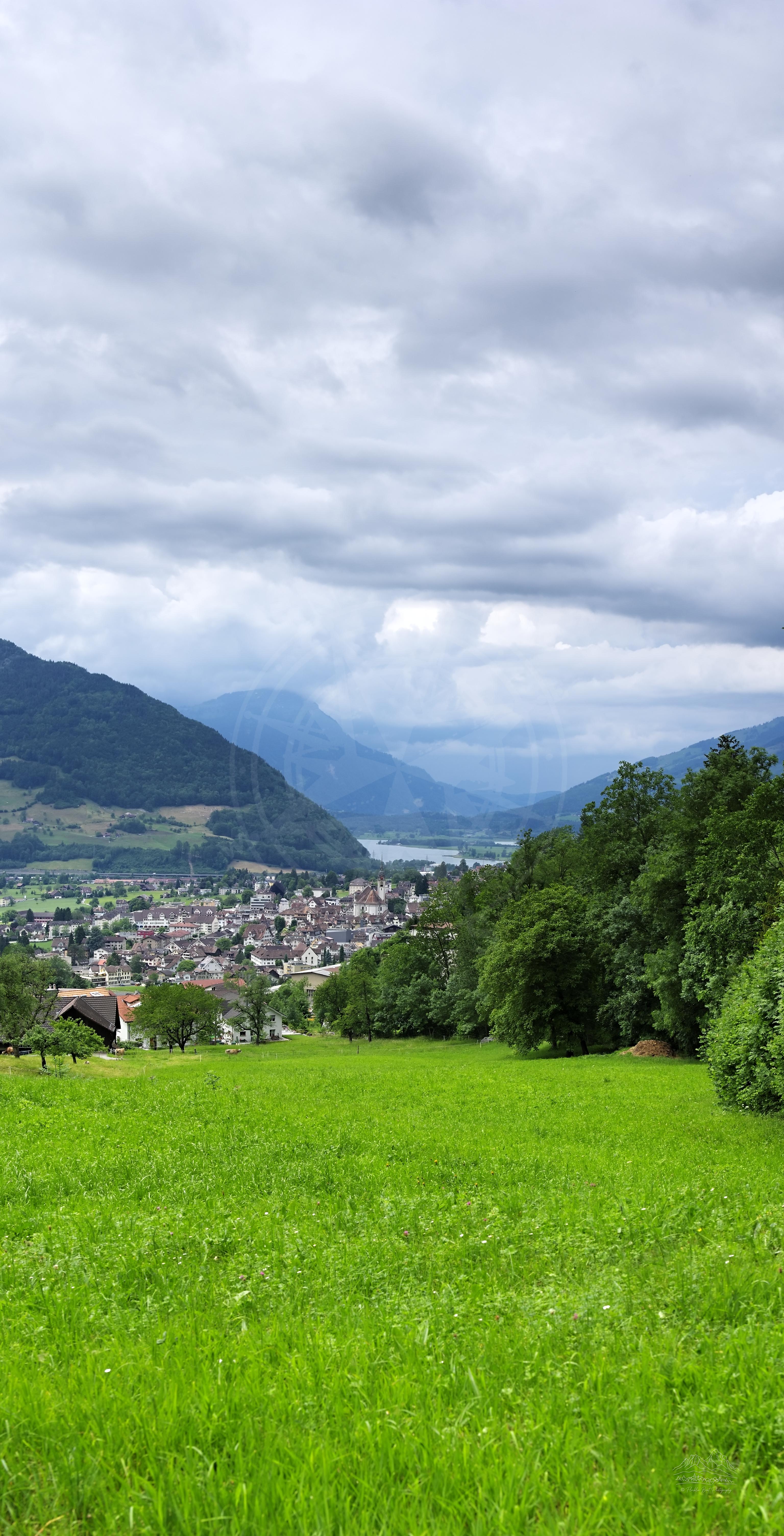 Spring Panorama of Valley Farmland in Rickenbach bei Schwyz, Switzerland