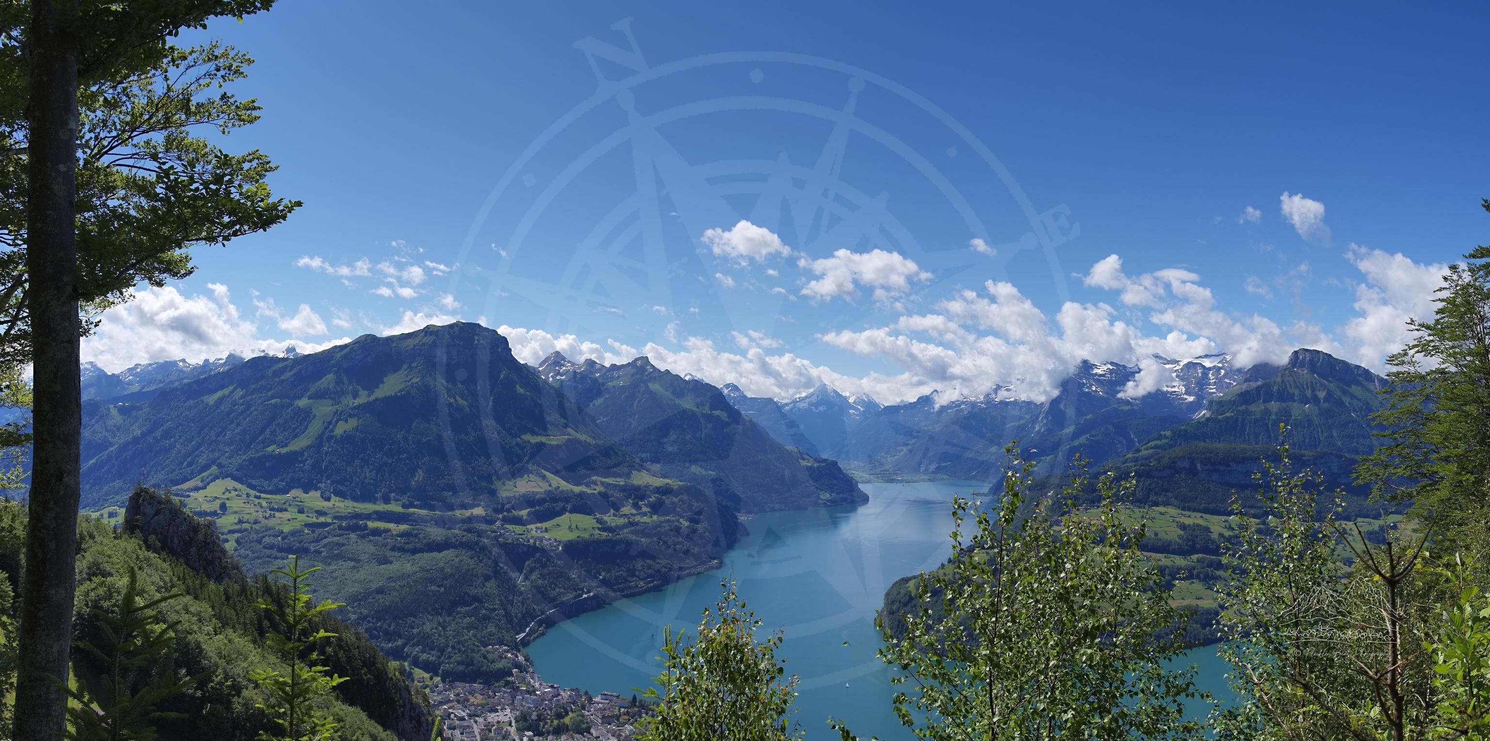 Sommerpanorama vom Urmiberg Aussichtspunkt in Schwyz Schweiz