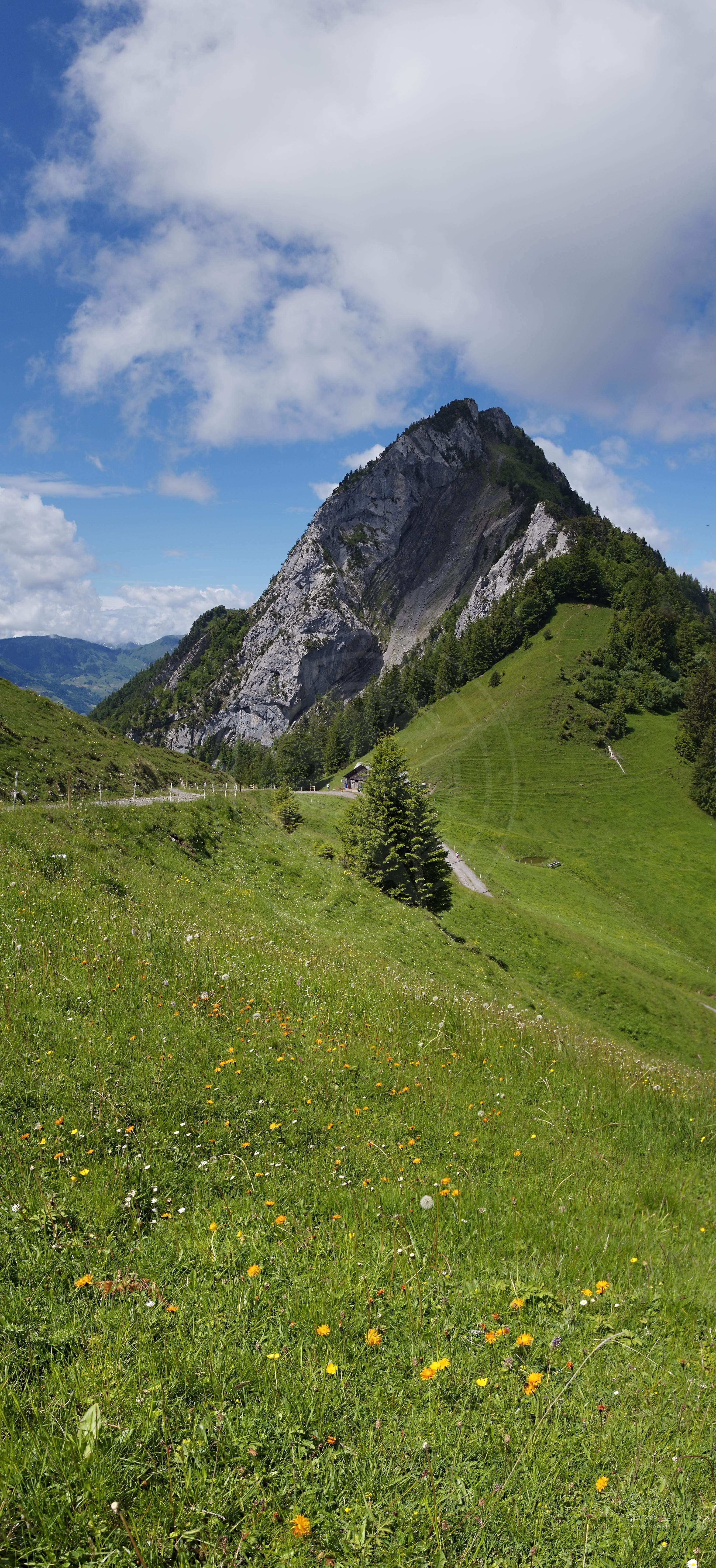 Sommer-Panorama des Urmiberg-Tals in Schwyz, Schweiz