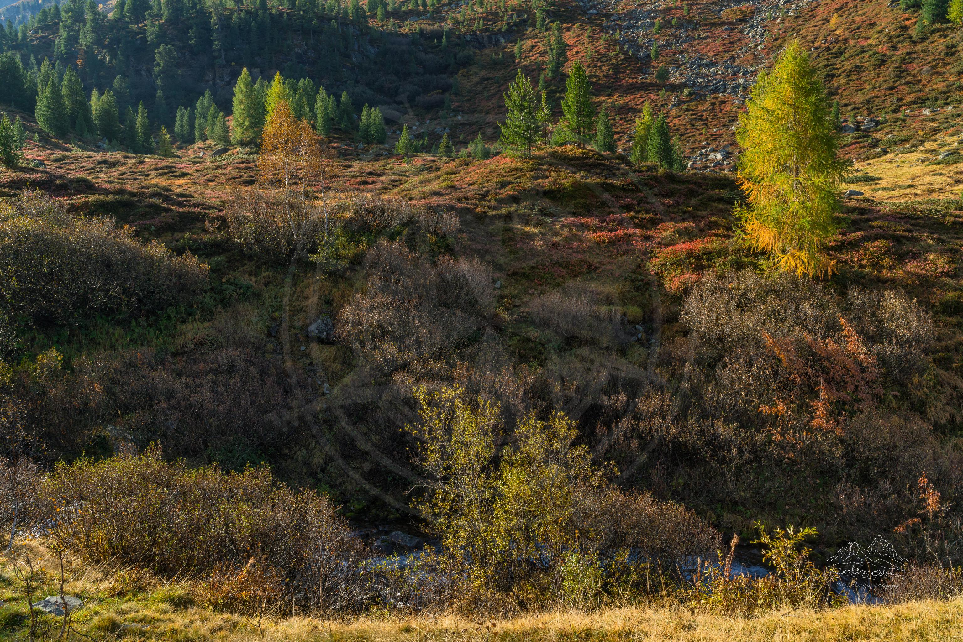 Herbstliches Panoramalandschaftsfoto an der Flüelapassstrasse bei Davos