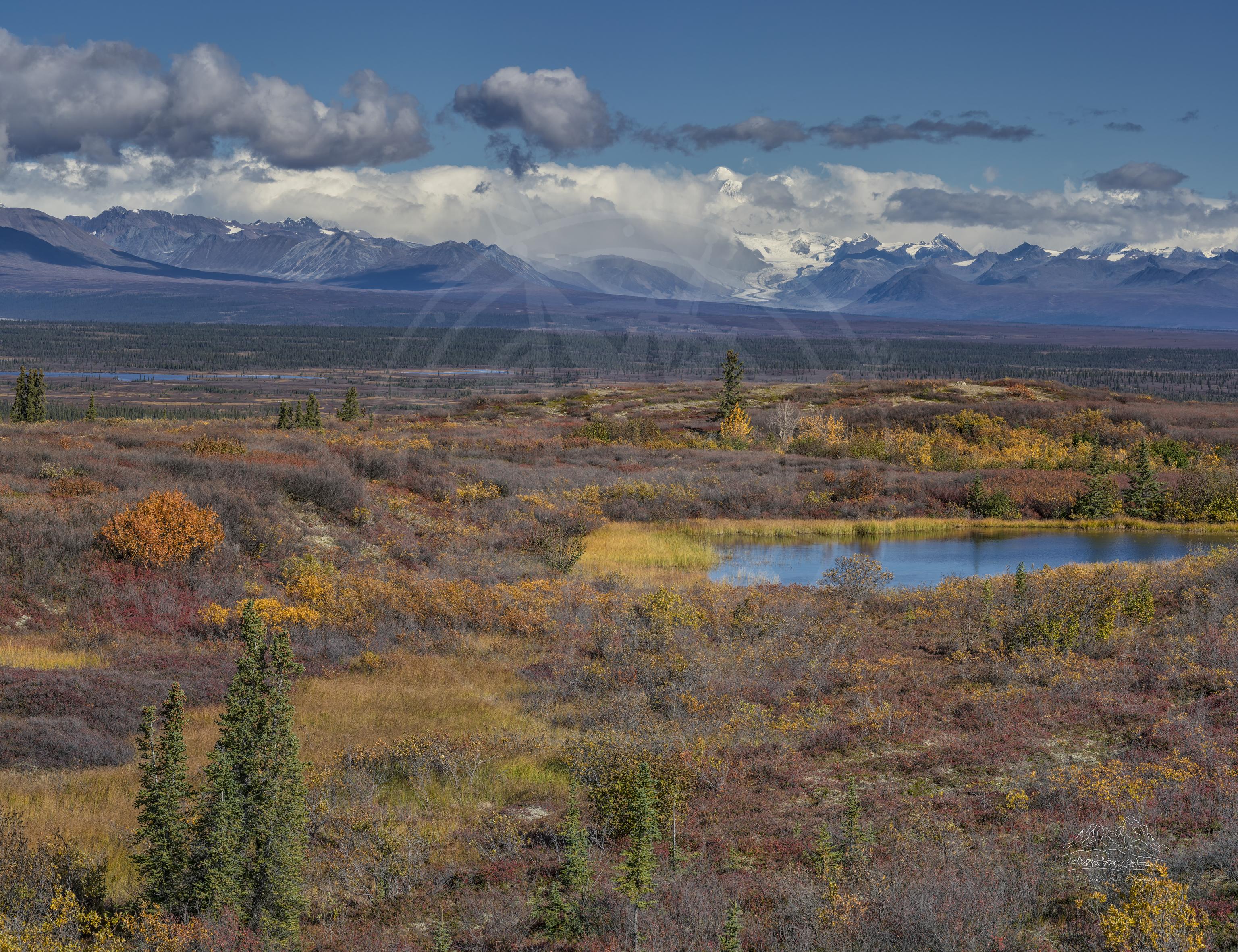 Paesaggio Panoramico Autunnale sulla Denali Highway in Alaska
