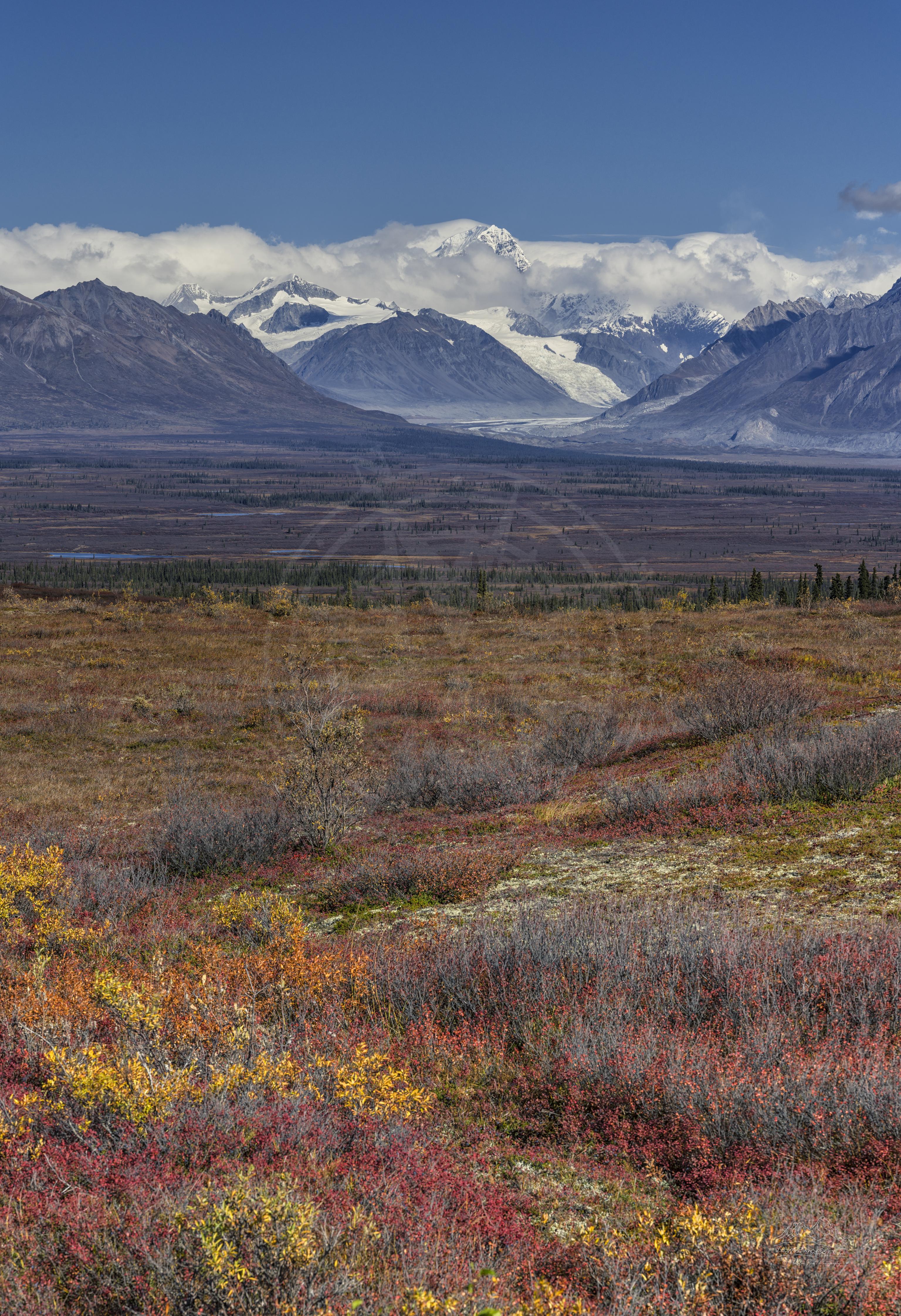 Paesaggio Panoramico Autunnale dalla Strada Denali, Alaska