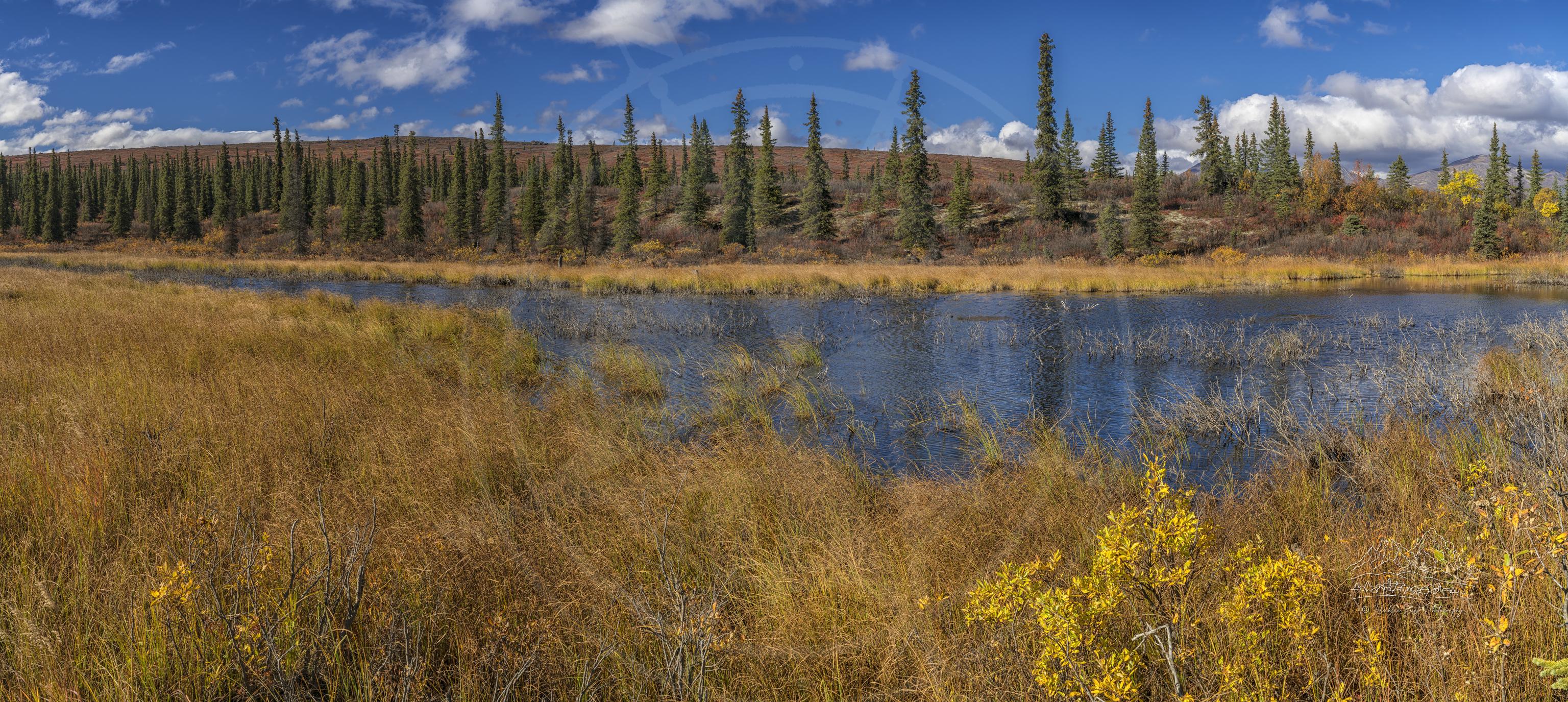 Panorama Autunnale del Lago di Montagna sulla Denali Highway, Alaska