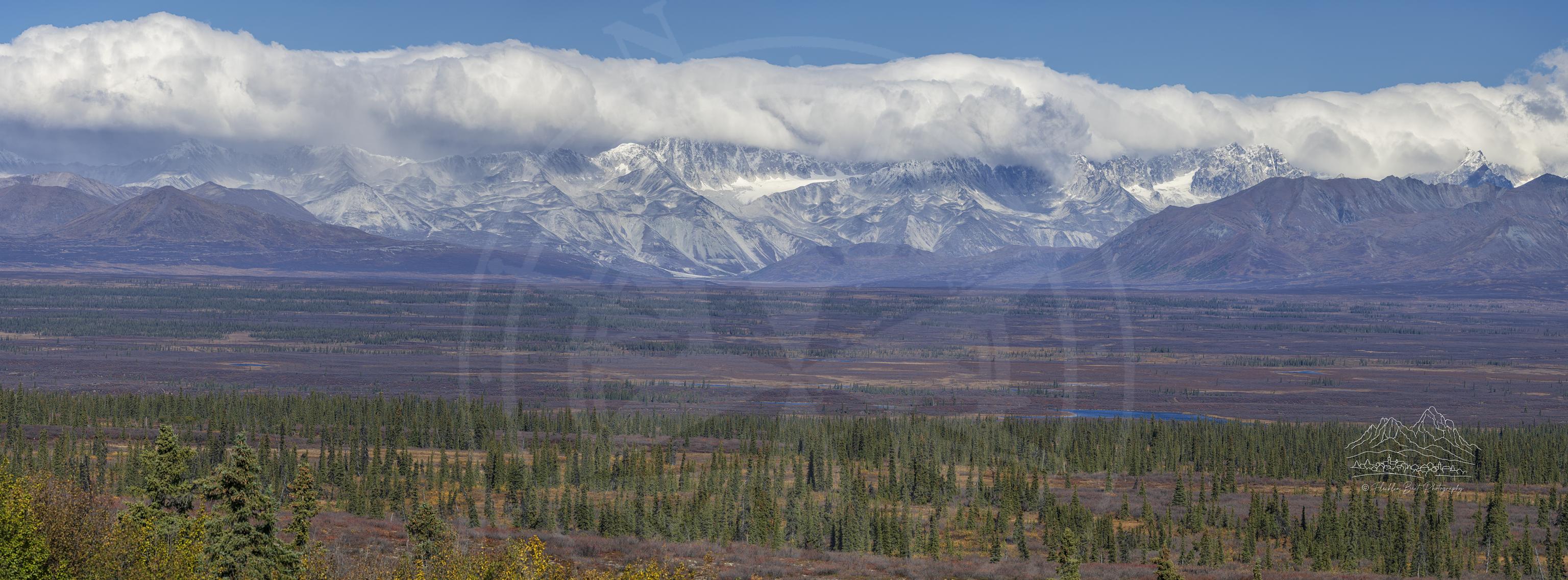 Paesaggio Panoramico Autunnale sulla Denali Highway con Montagne e Lago