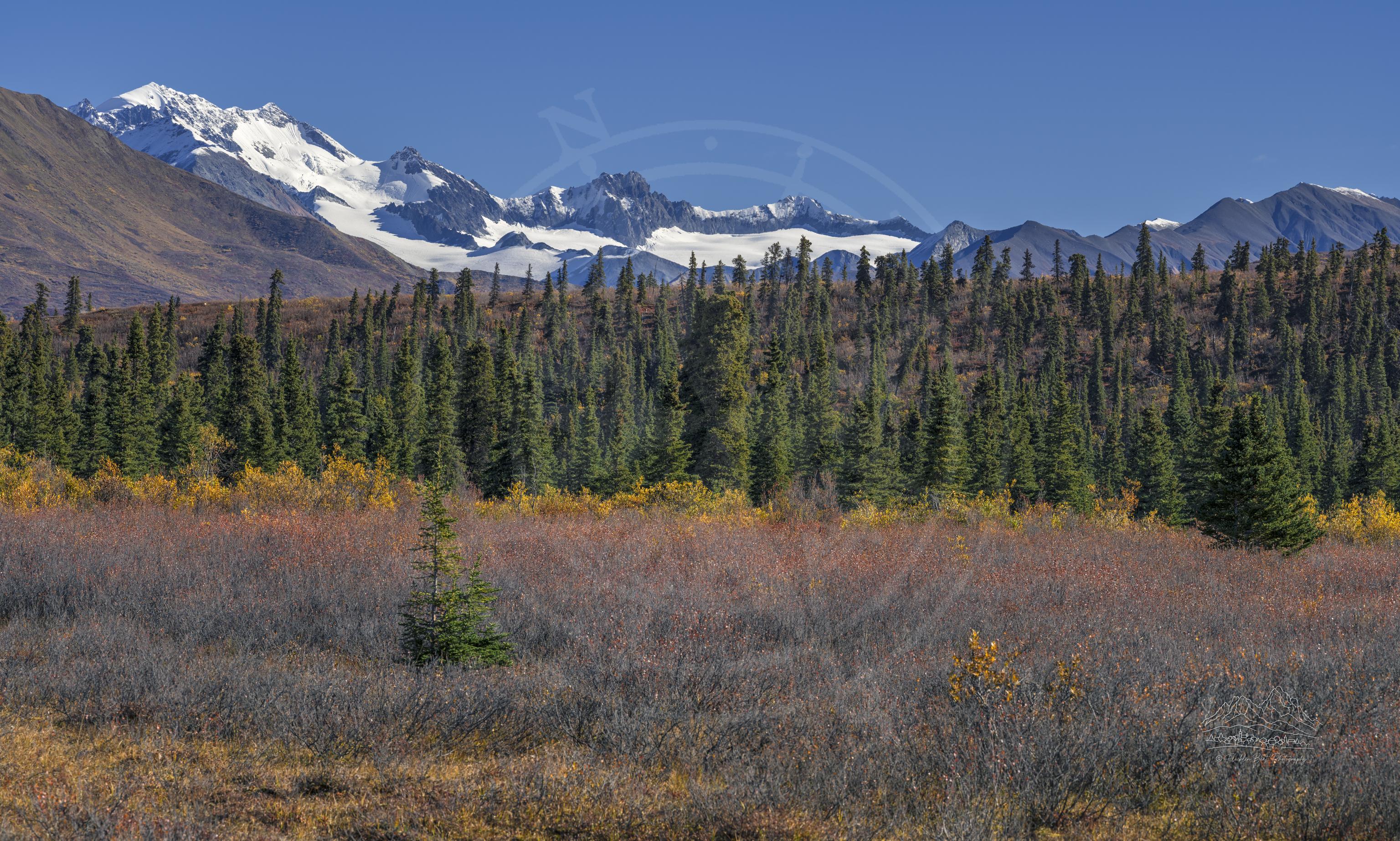 Panorama Autunnale di Fielding Lake e Catena Montuosa in Alaska