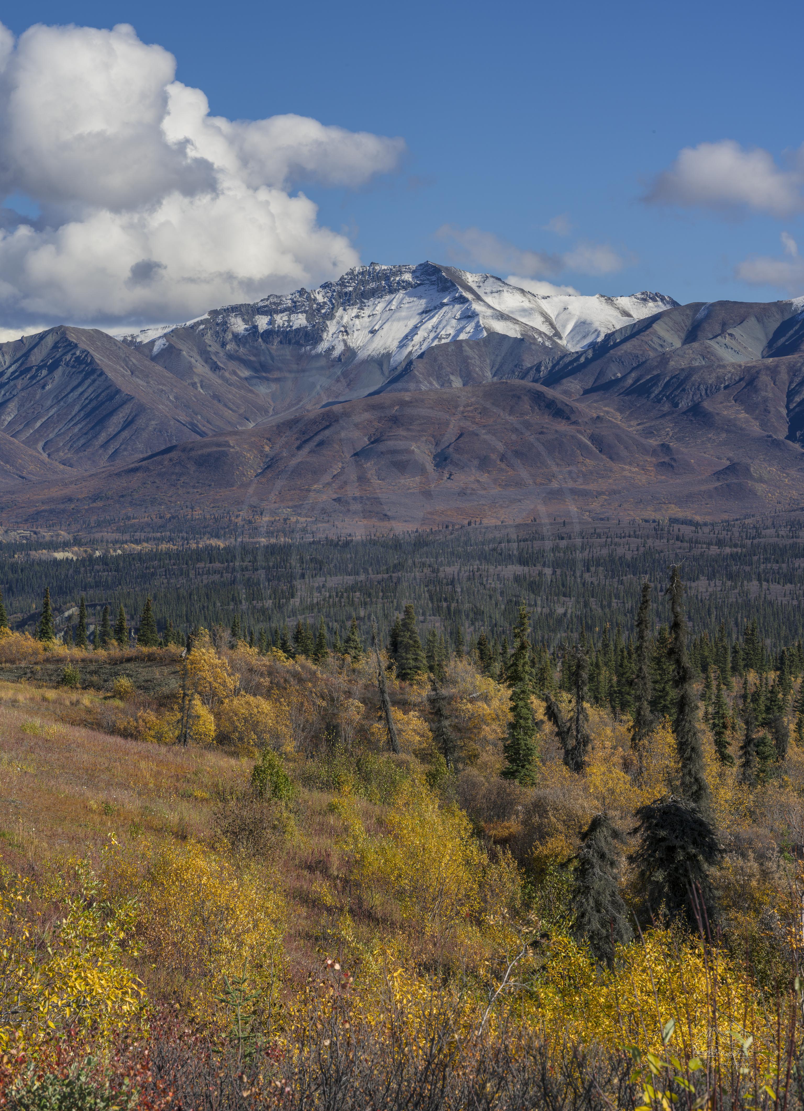 Veduta Panoramica Autunnale della Catena Montana e Foresta sulla Glenn Highway, Alaska