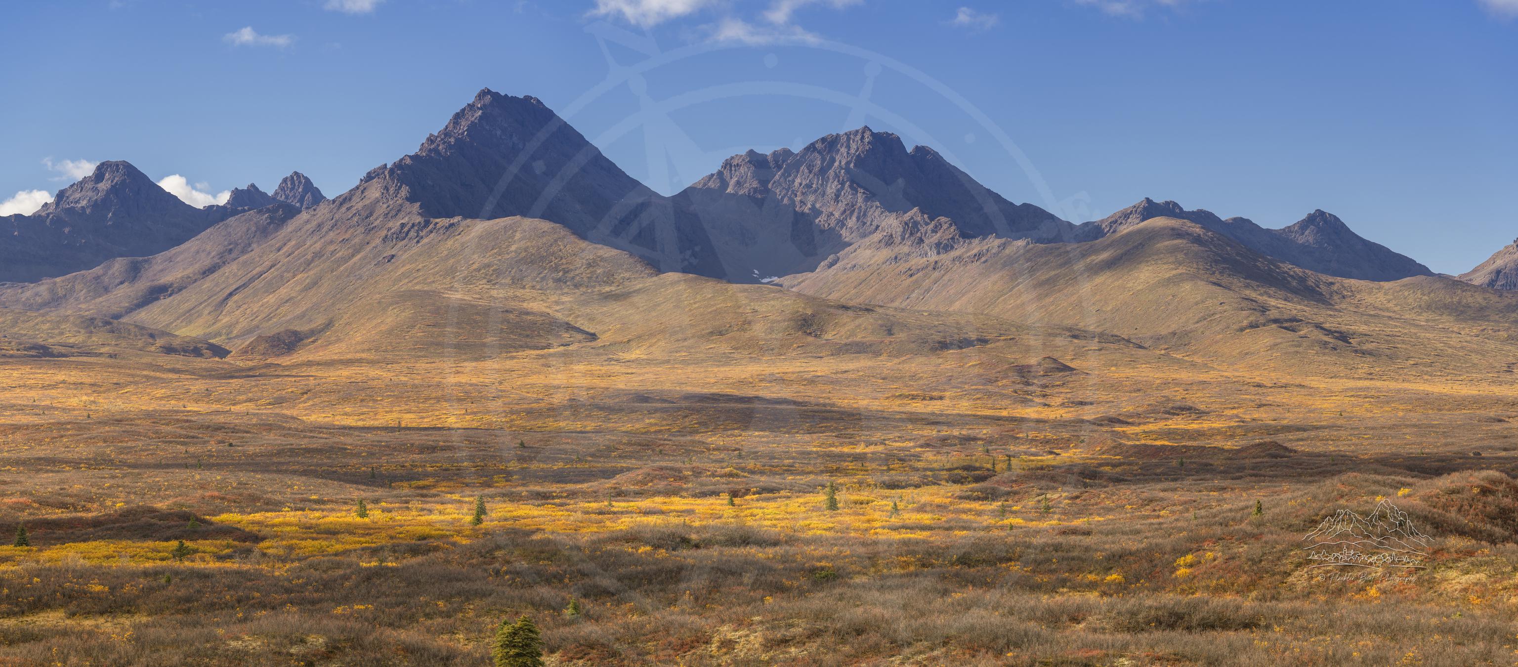 Paesaggio panoramico autunnale lungo la Denali Highway