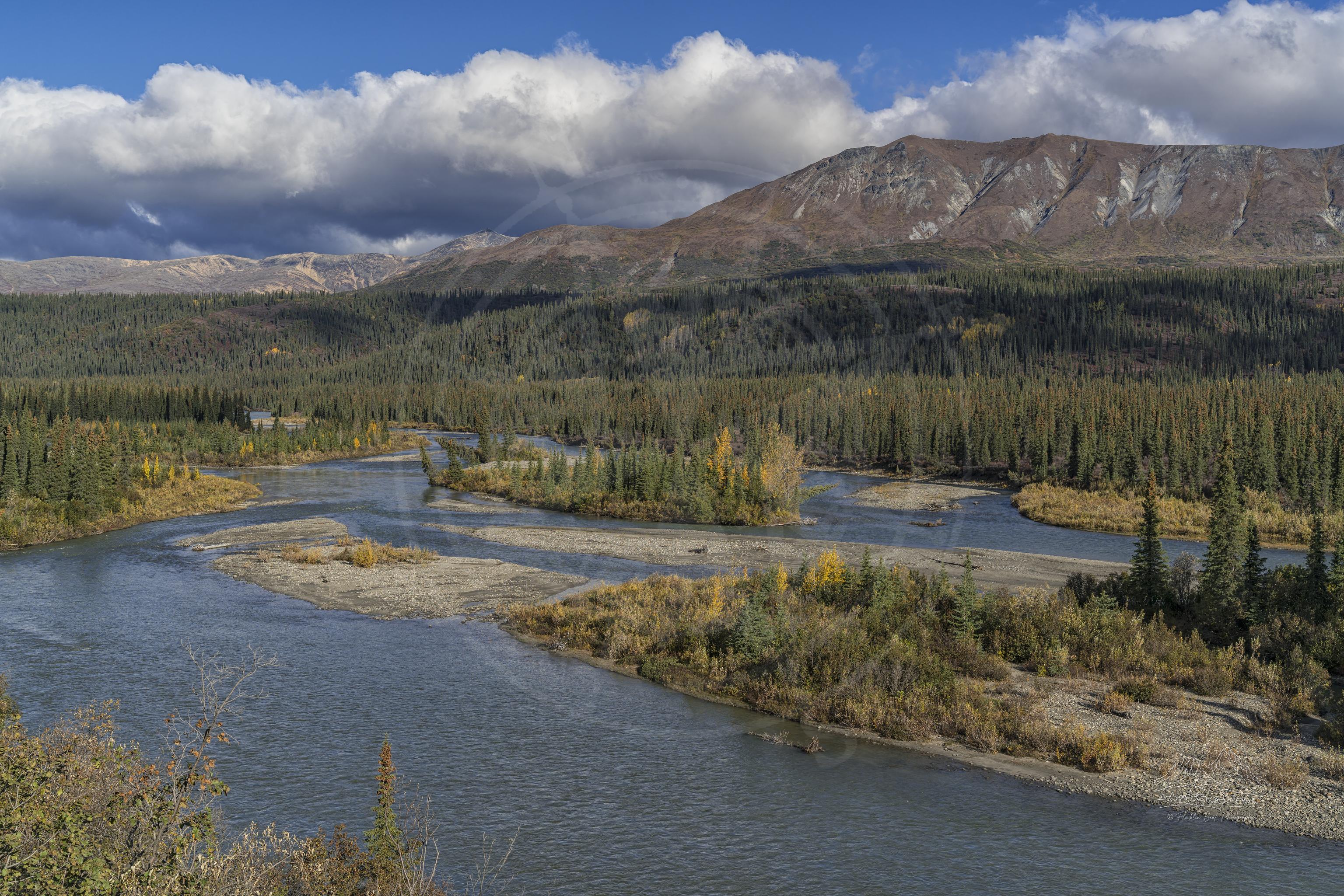 Paesaggio Autunnale con Fiume lungo la Denali Highway in Alaska