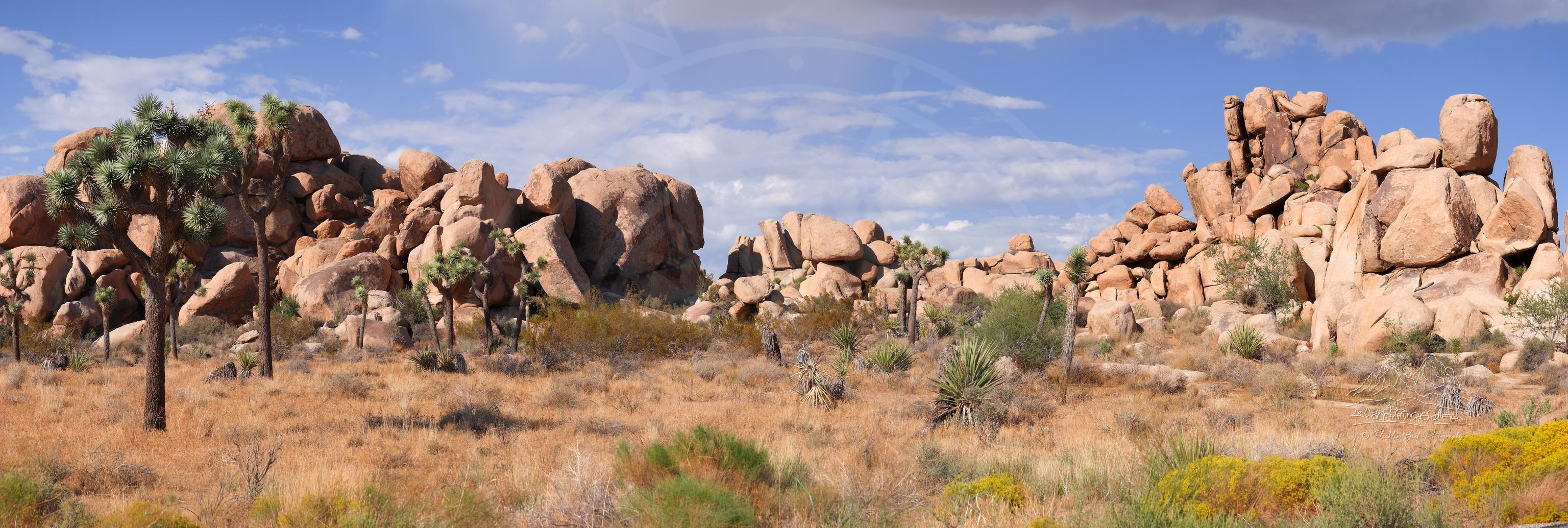 Panoramic Autumn Landscape of Joshua Tree Rock Formation at Sunset