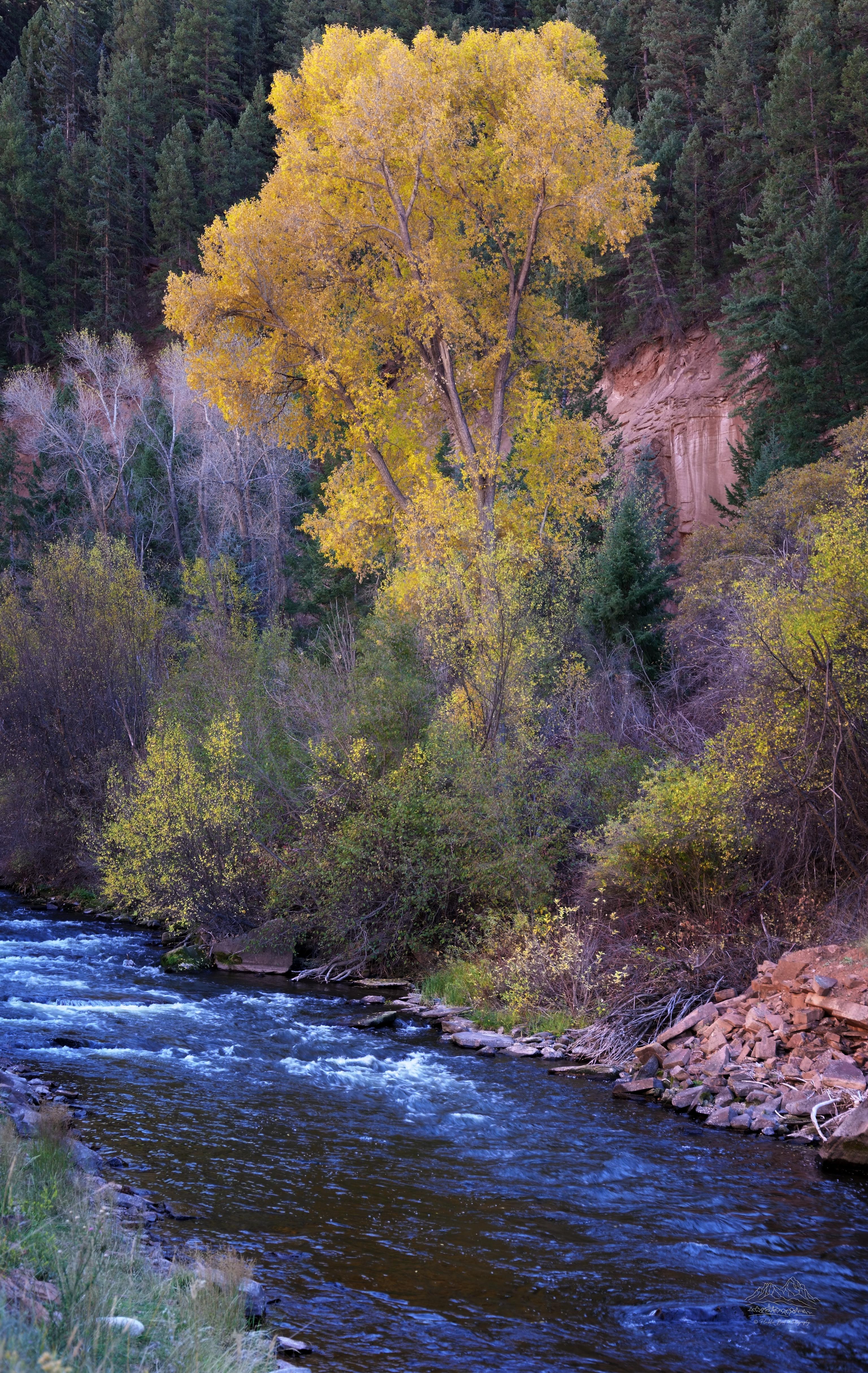 Herbstliche Flusslandschaft an der Frying Pan Road in Basalt, Colorado
