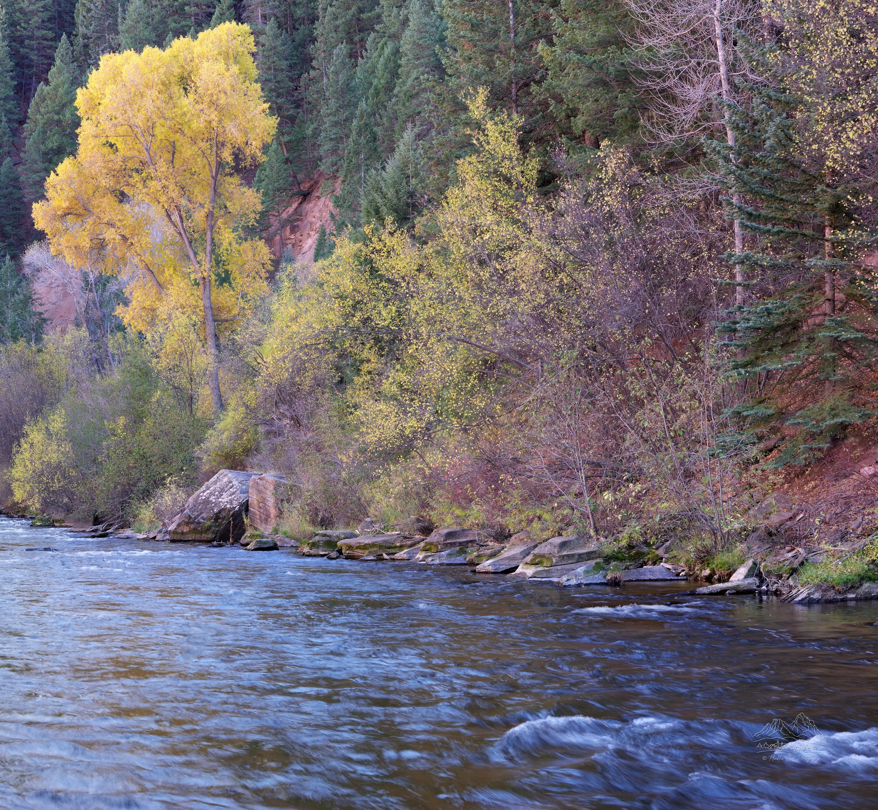 Herbstliche Flusslandschaft an der Frying Pan Road in Basalt, Colorado