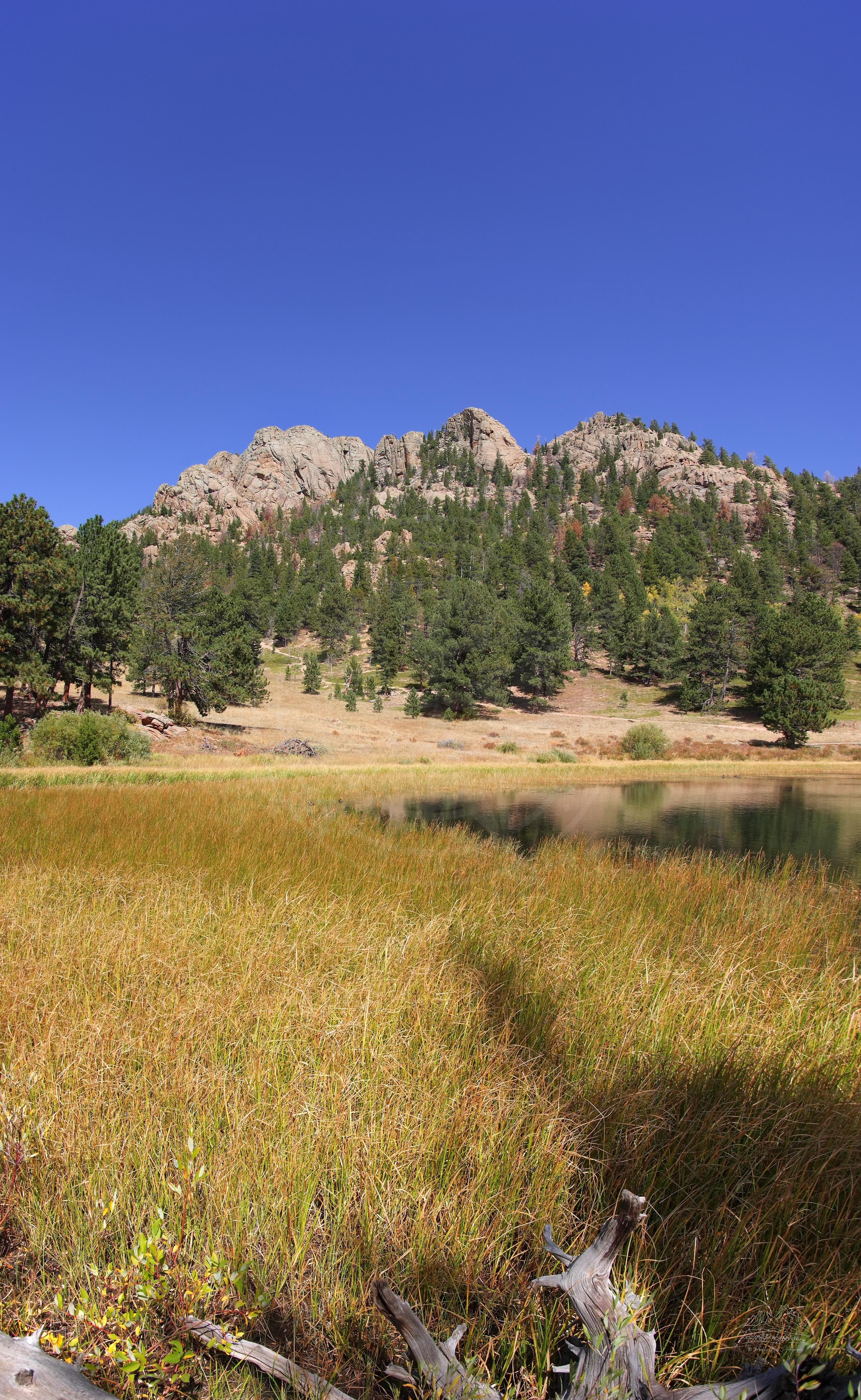 Herbstlandschaft am Lily Lake Trail in Estes Park, Colorado