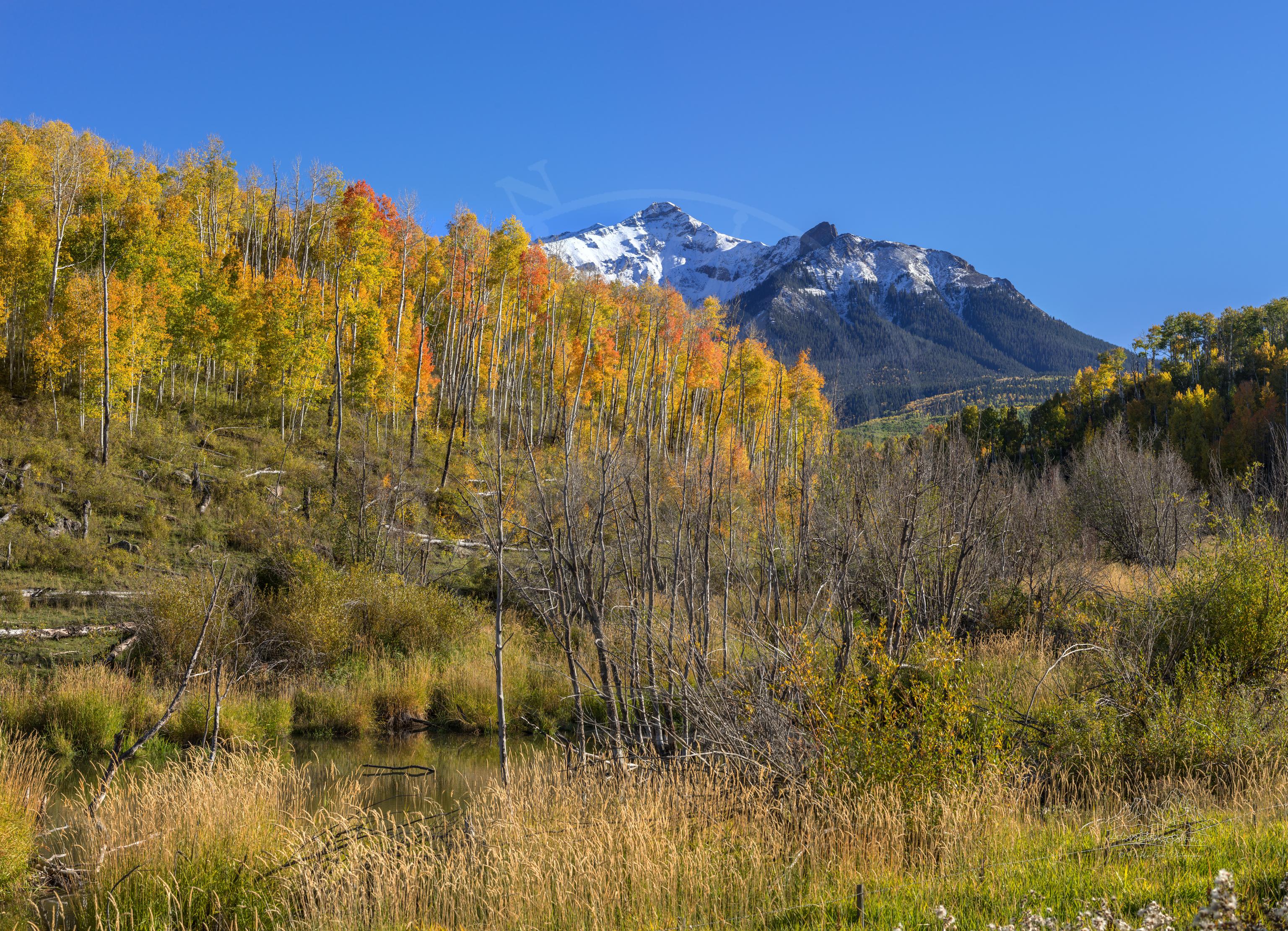 Paesaggio Montano Autunnale Panoramico sulla Last Dollar Road, Colorado