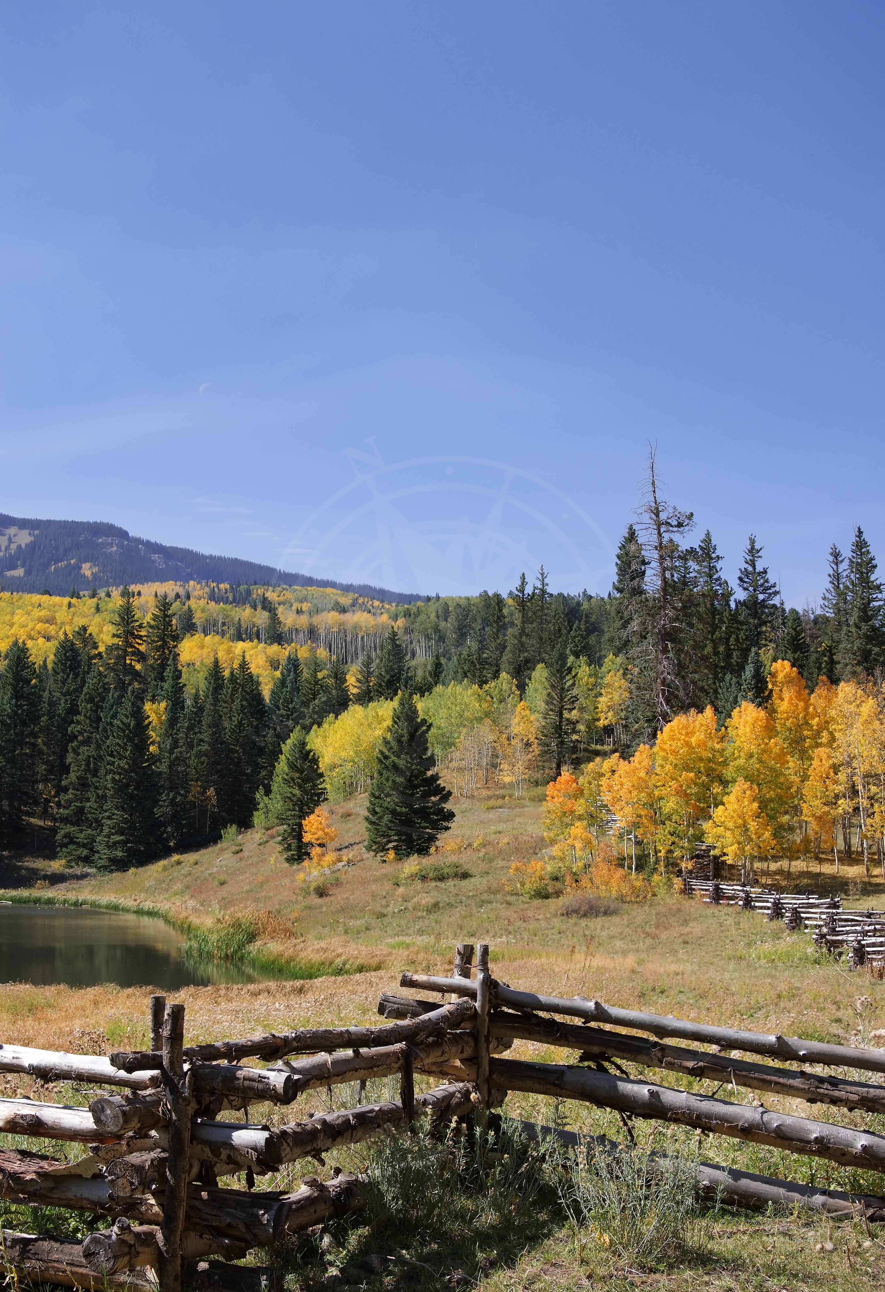 Herbstliche Wiesenlandschaft am Owl Creek Pass, Colorado