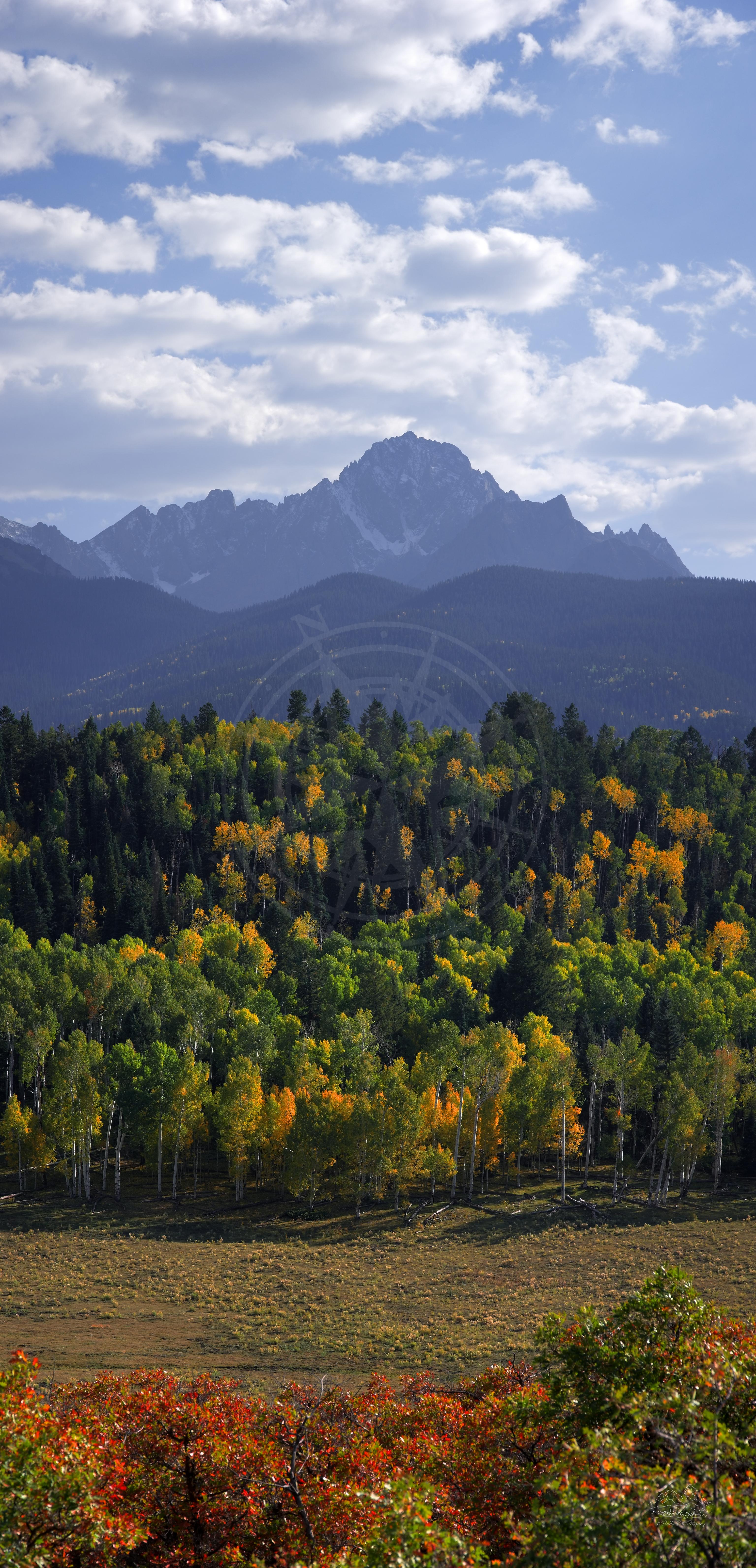 Herbstwaldlandschaft an der Country Road 5 bei Ridgway, Colorado