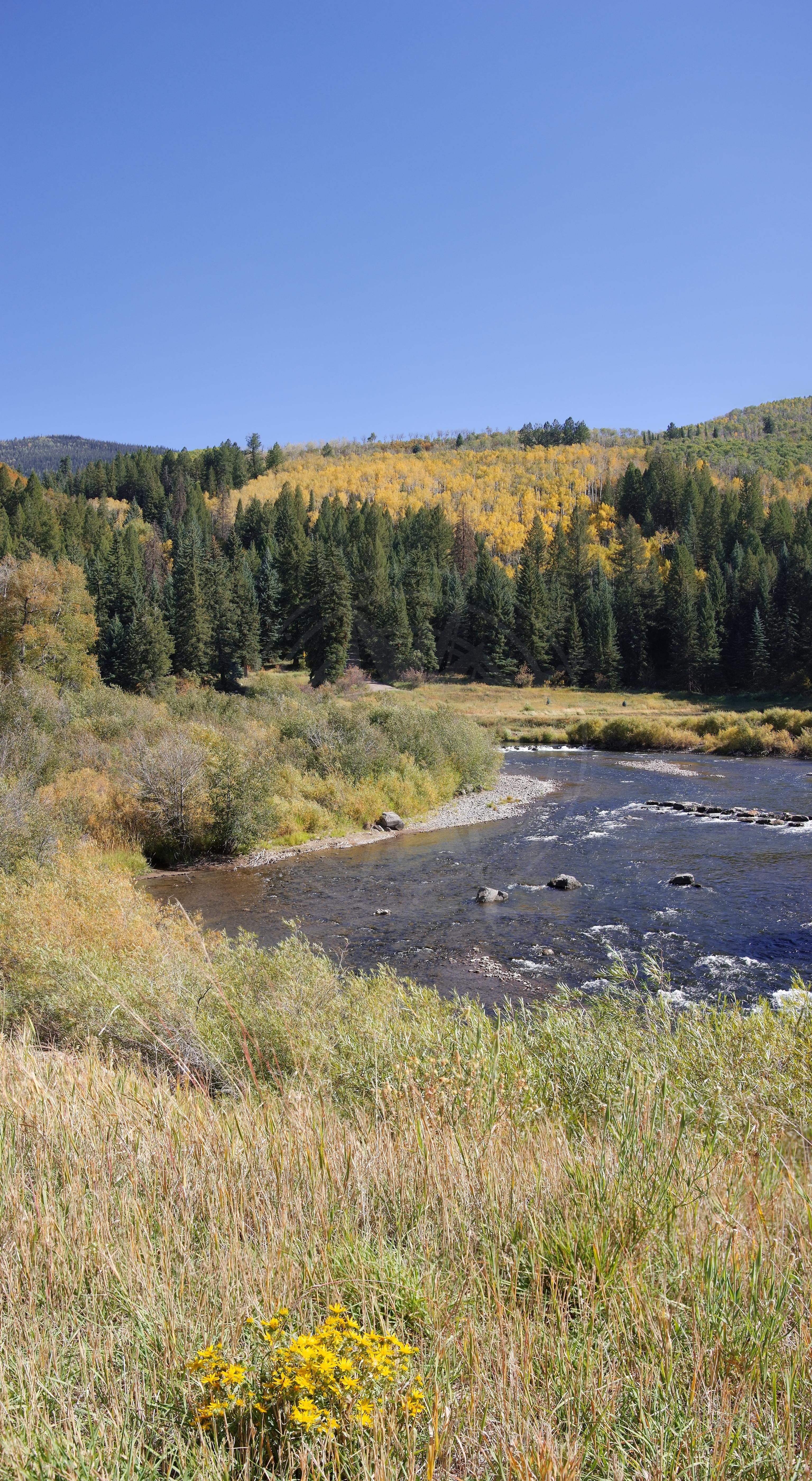 Herbstpanorama von Fluss und Wald am Flat Tops Scenic Byway, Colorado