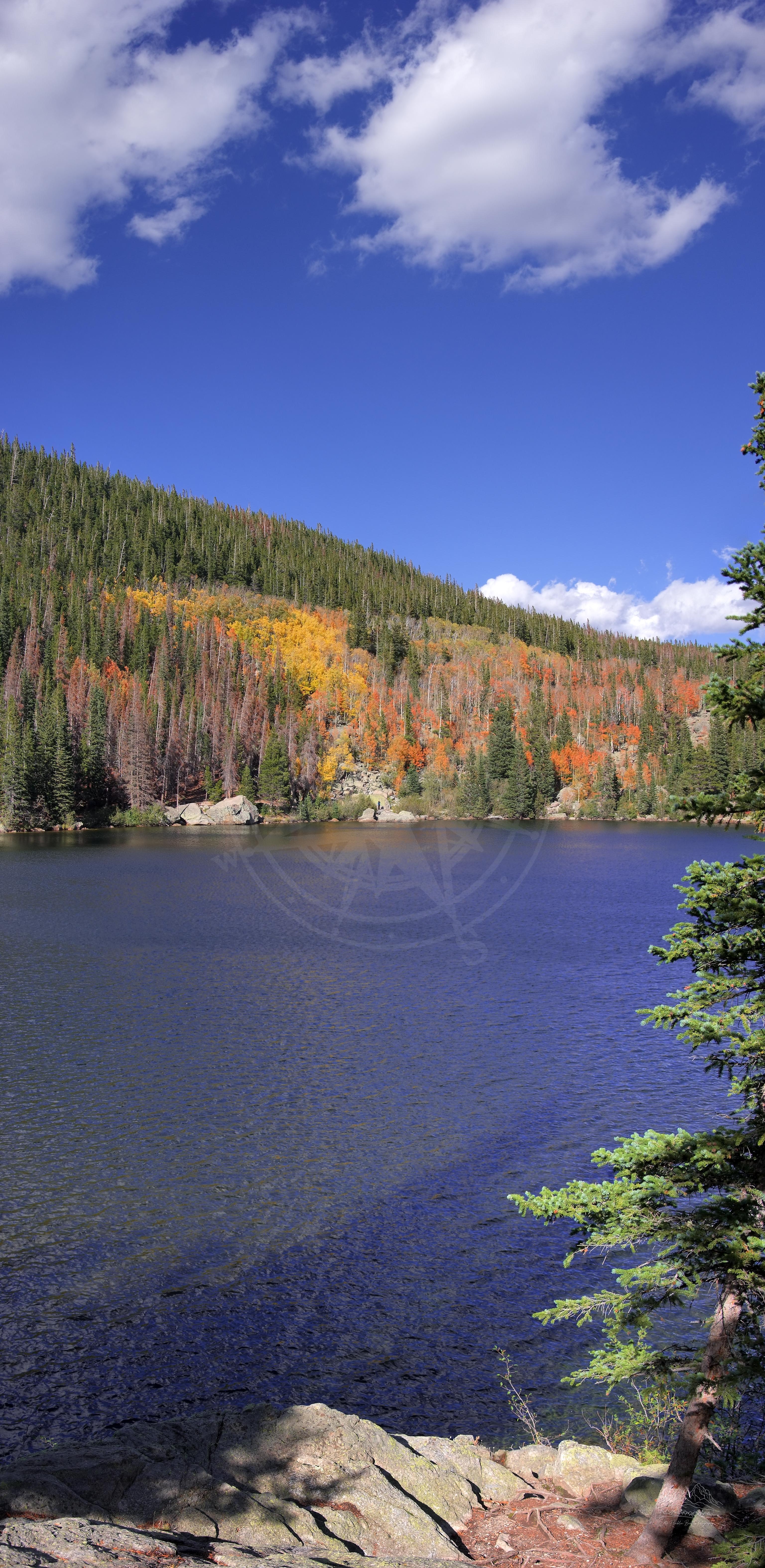 Herbst-Panorama am Bear Lake Trail im Rocky Mountain Nationalpark Colorado