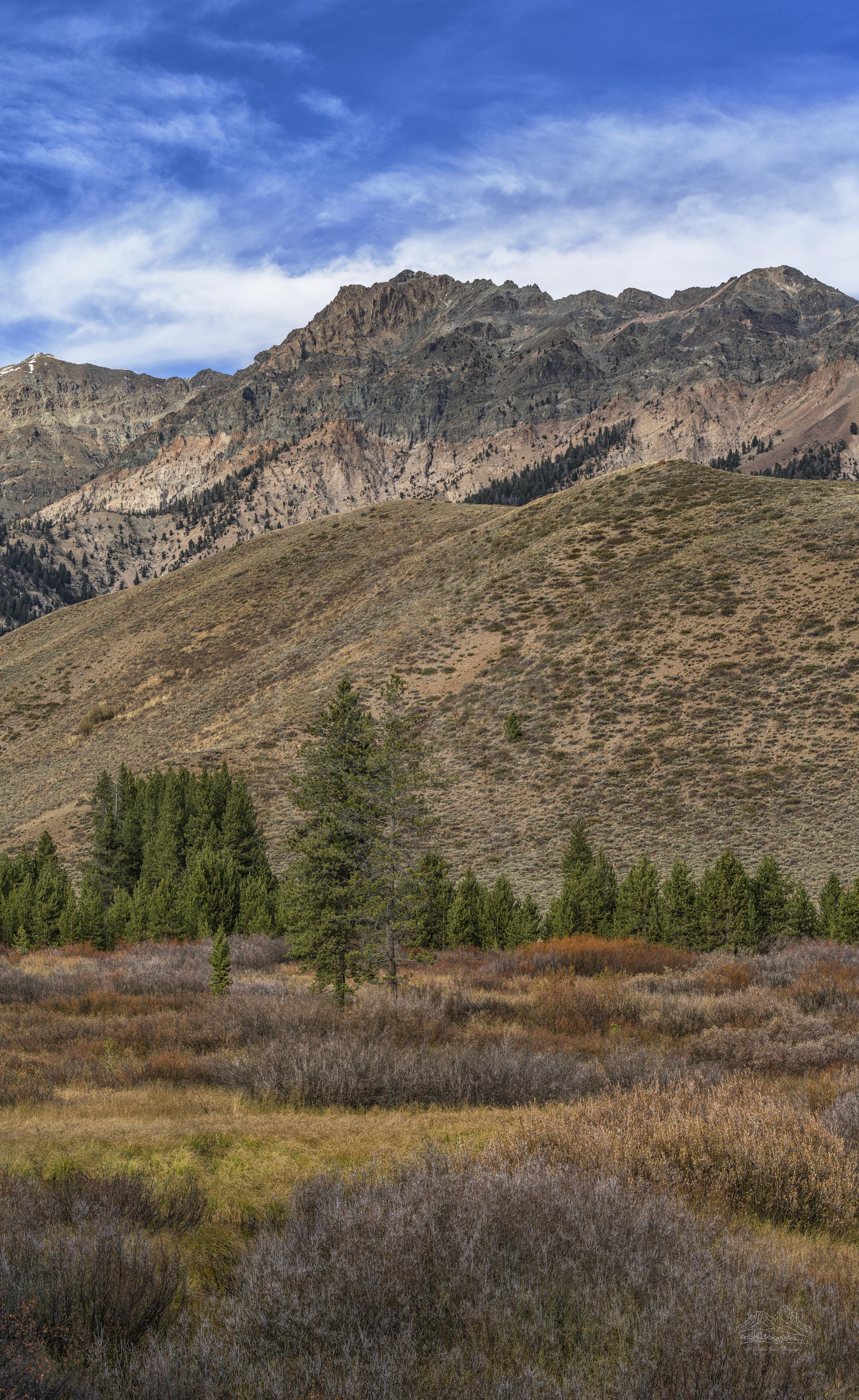 Panorama d'Autunno alla Prateria lungo la ID 75 a Easley Hot Springs, Idaho