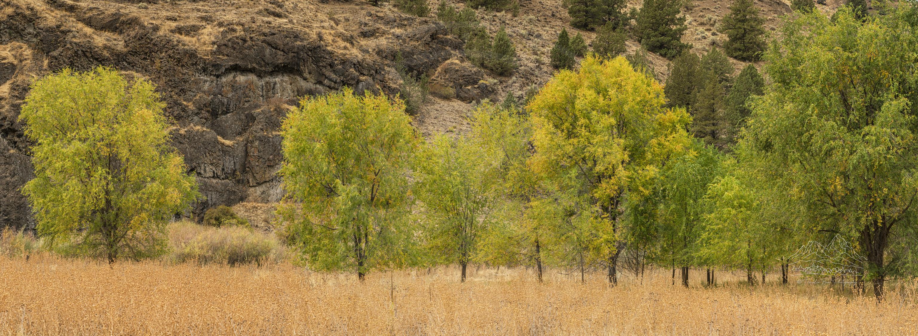 Panorama Autunnale di Agricoltura e Vista Montuosa lungo John Day Highway a Kimberly, Oregon