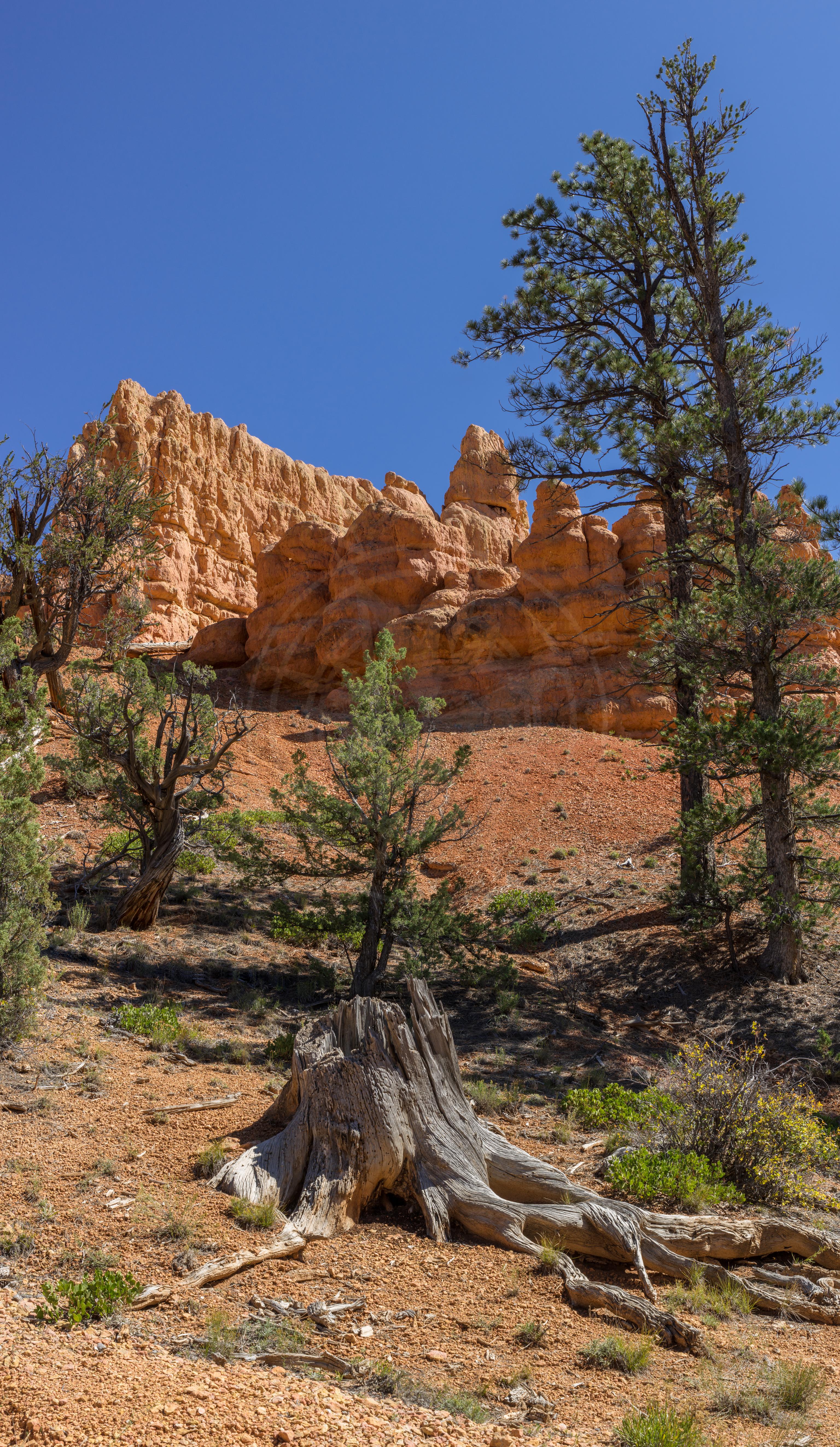 Paesaggio Panoramico Autunnale al Birdseye Trail, Utah