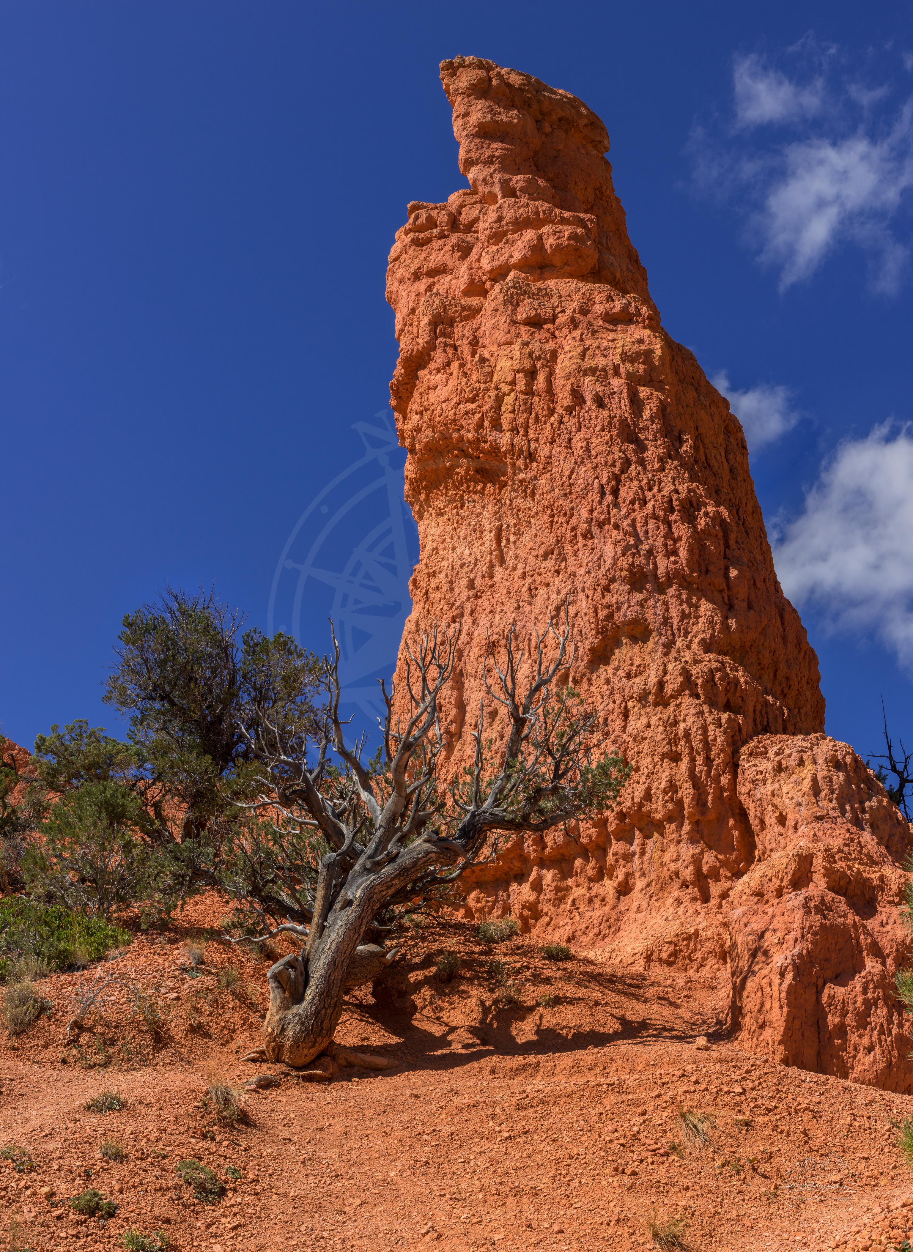 Panorama autunnale della torre di roccia rossa sul Birdseye Trail, Utah