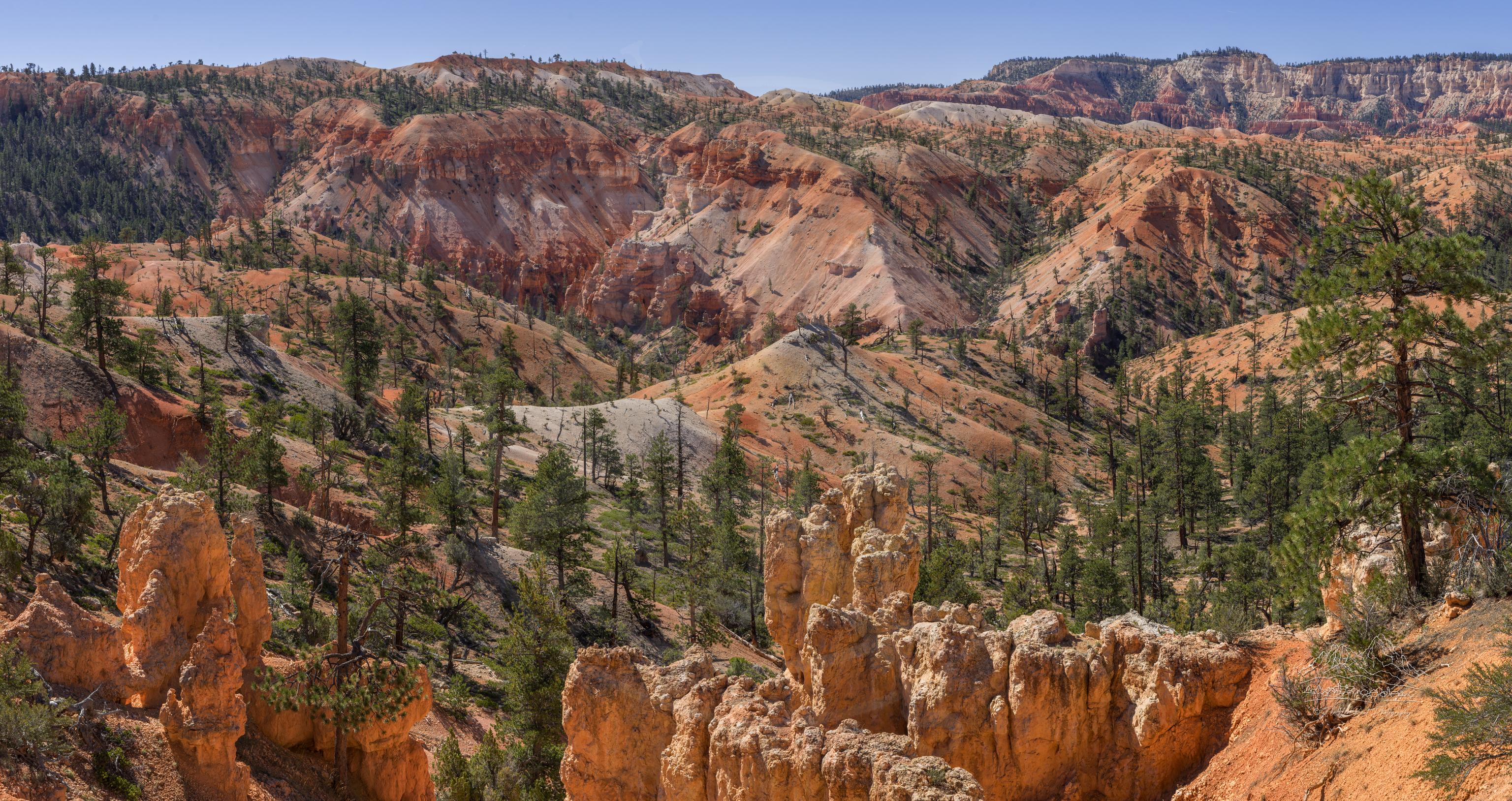 Panorama Autunnale dal Punto Panoramico Fairyland Loop Trail a Bryce Canyon, Utah