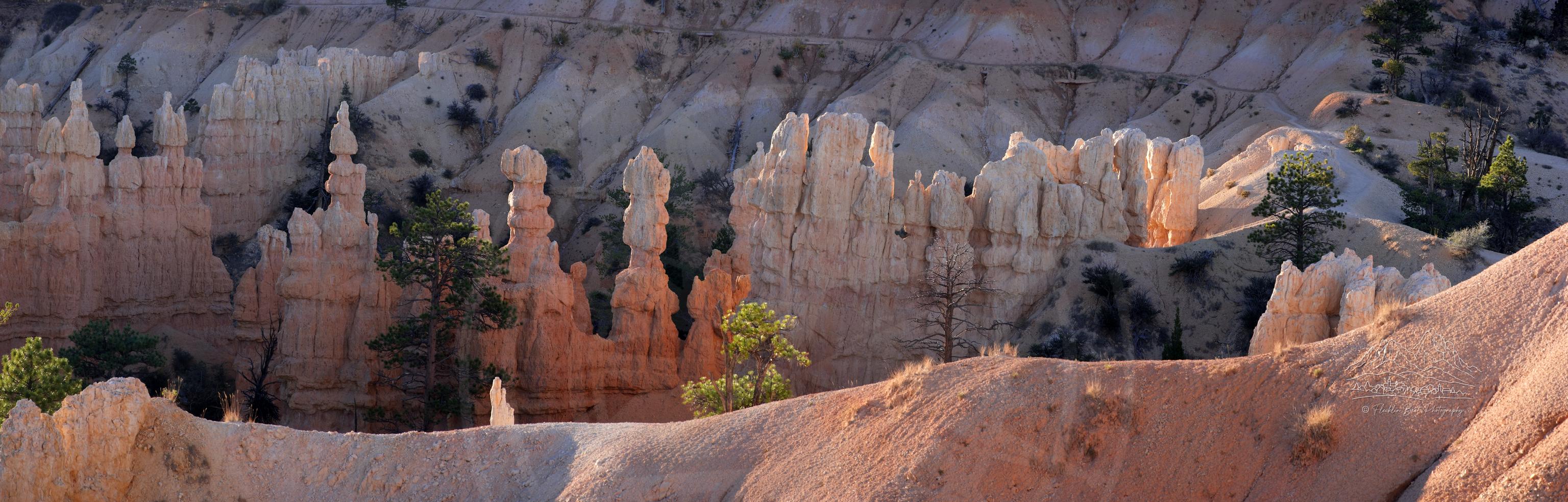 Herbstliches Panoramabild vom Fairyland Loop Trail im Bryce Canyon, Utah