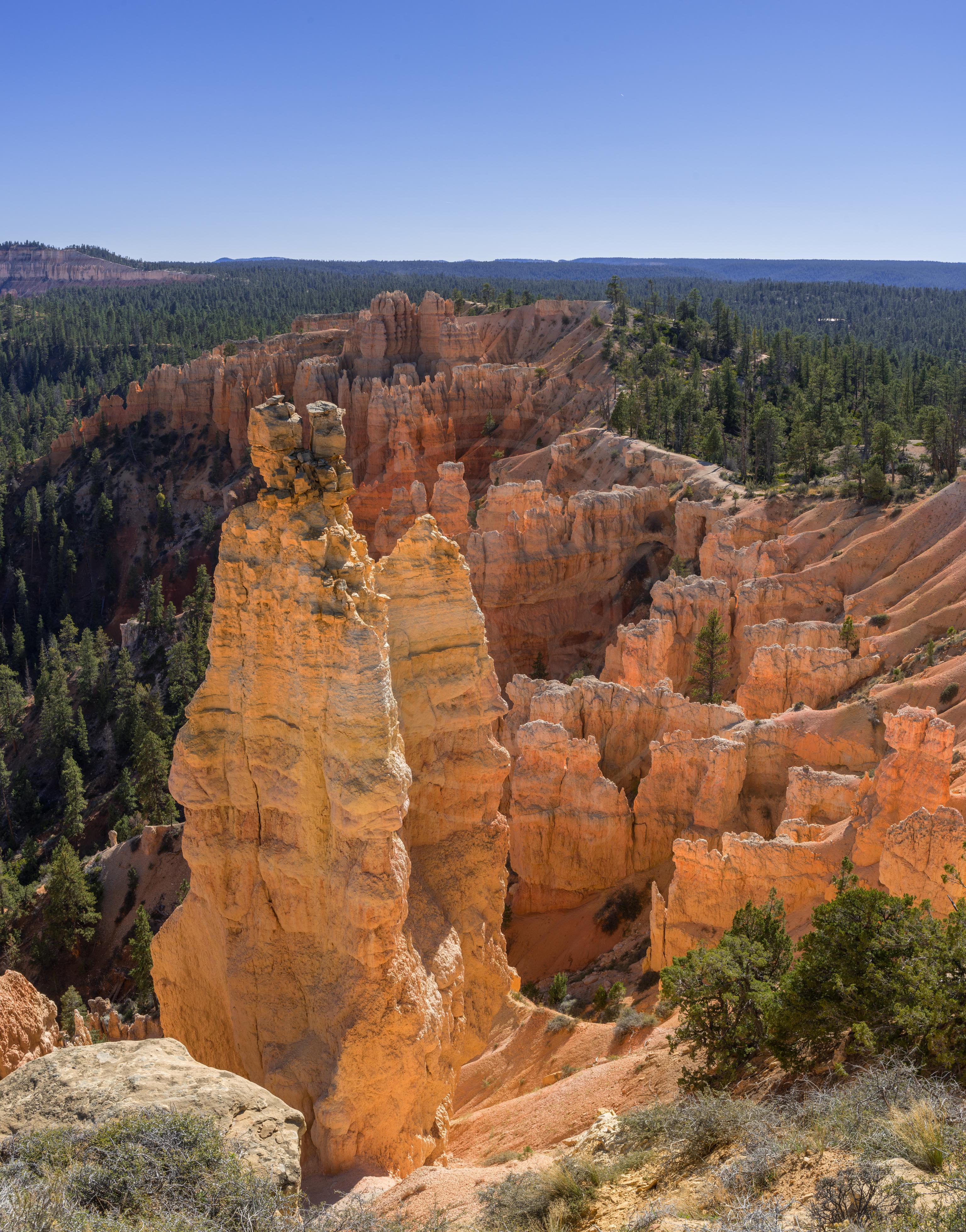 Panorama Autunnale al Rim Trail Overlook nel Bryce Canyon Utah